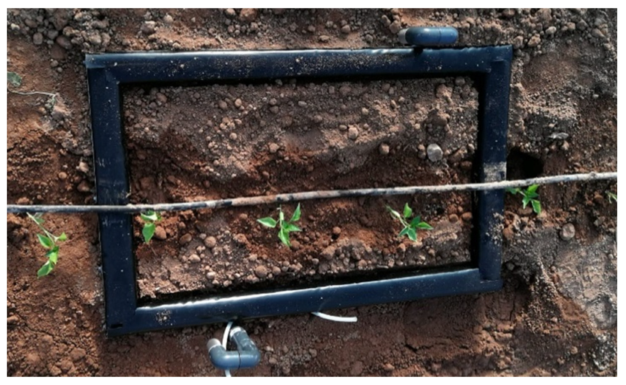 Sustainability 13 00747 g002