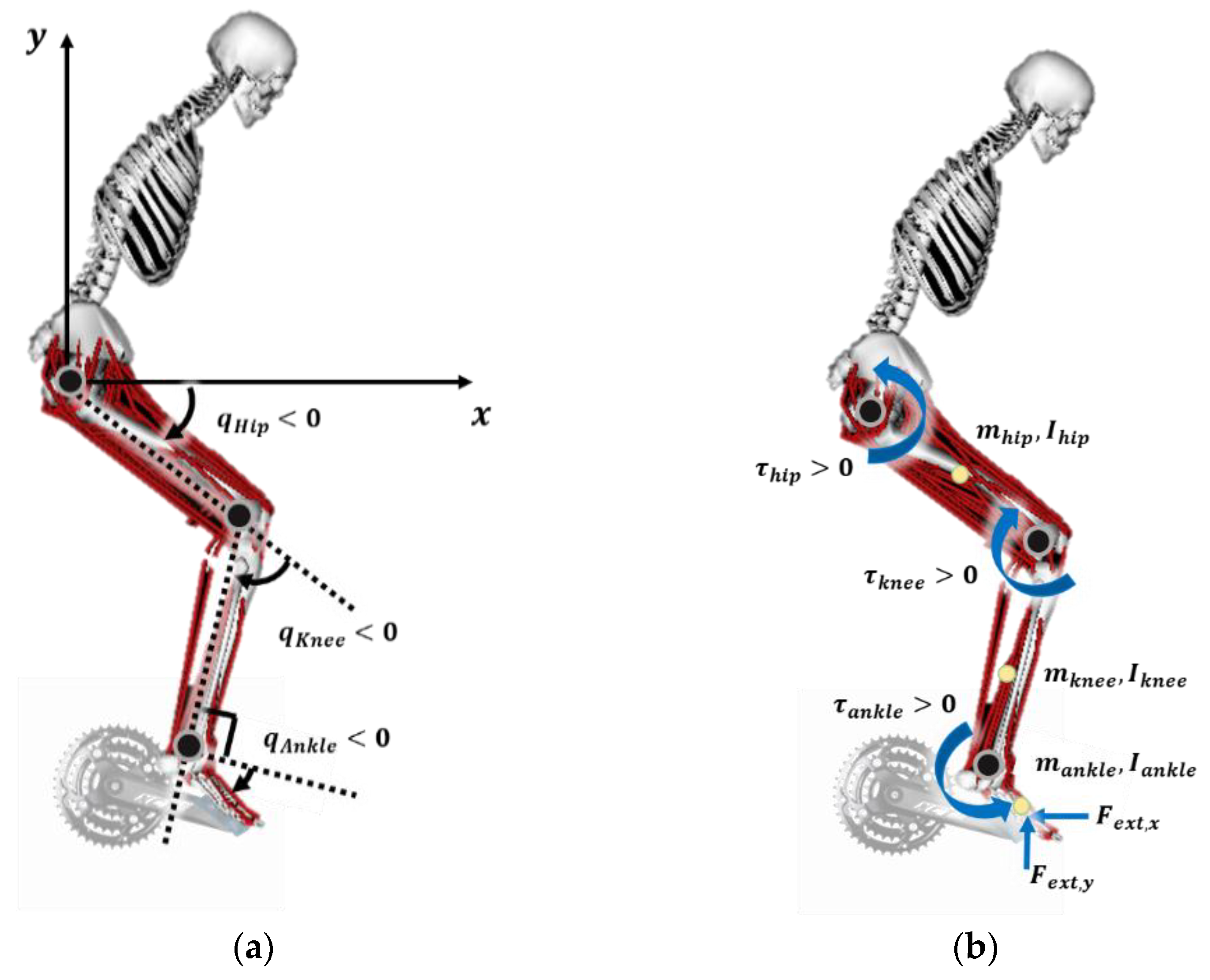 Sustainability 13 00768 g002