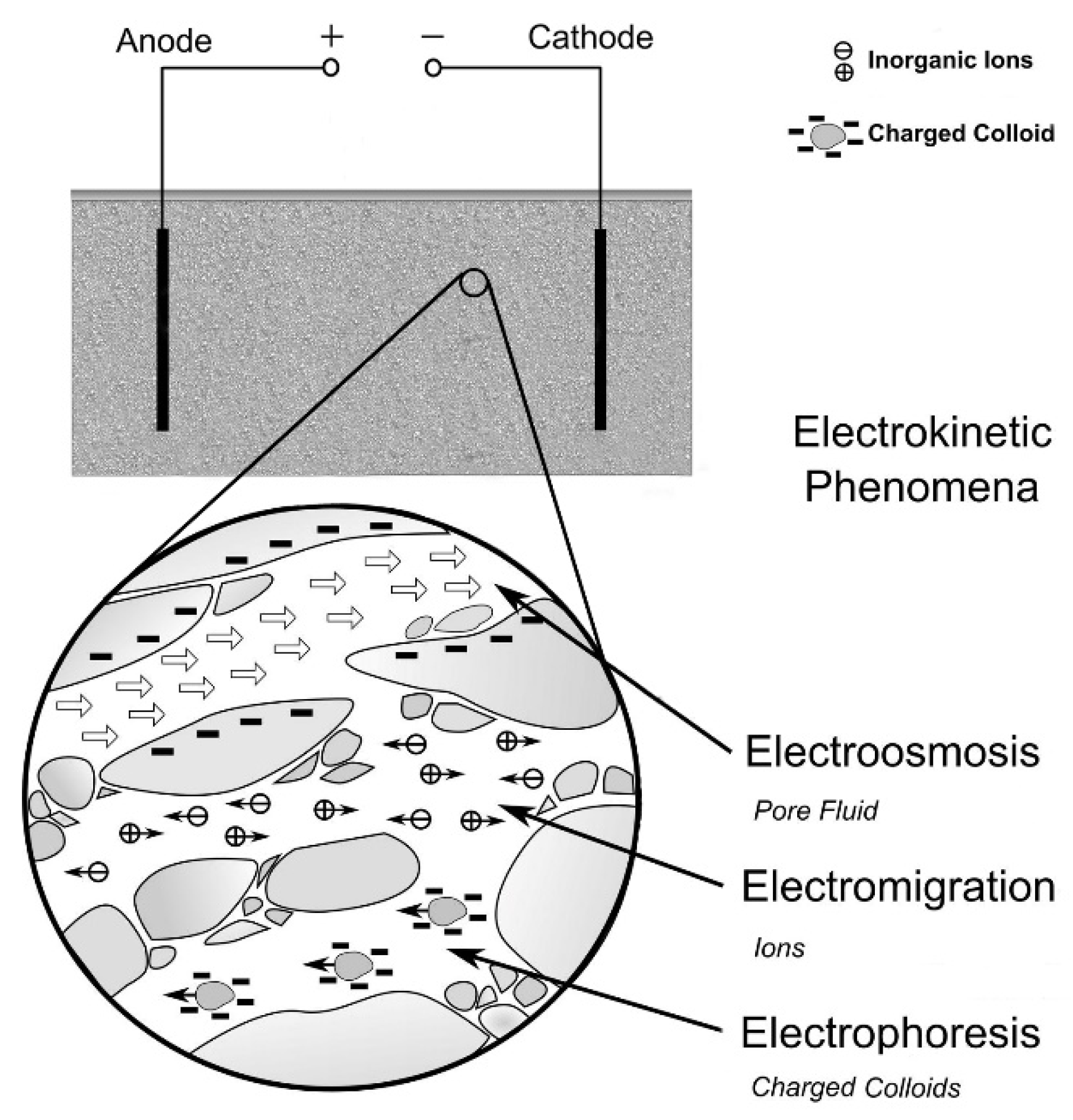Sustainability 13 00770 g001