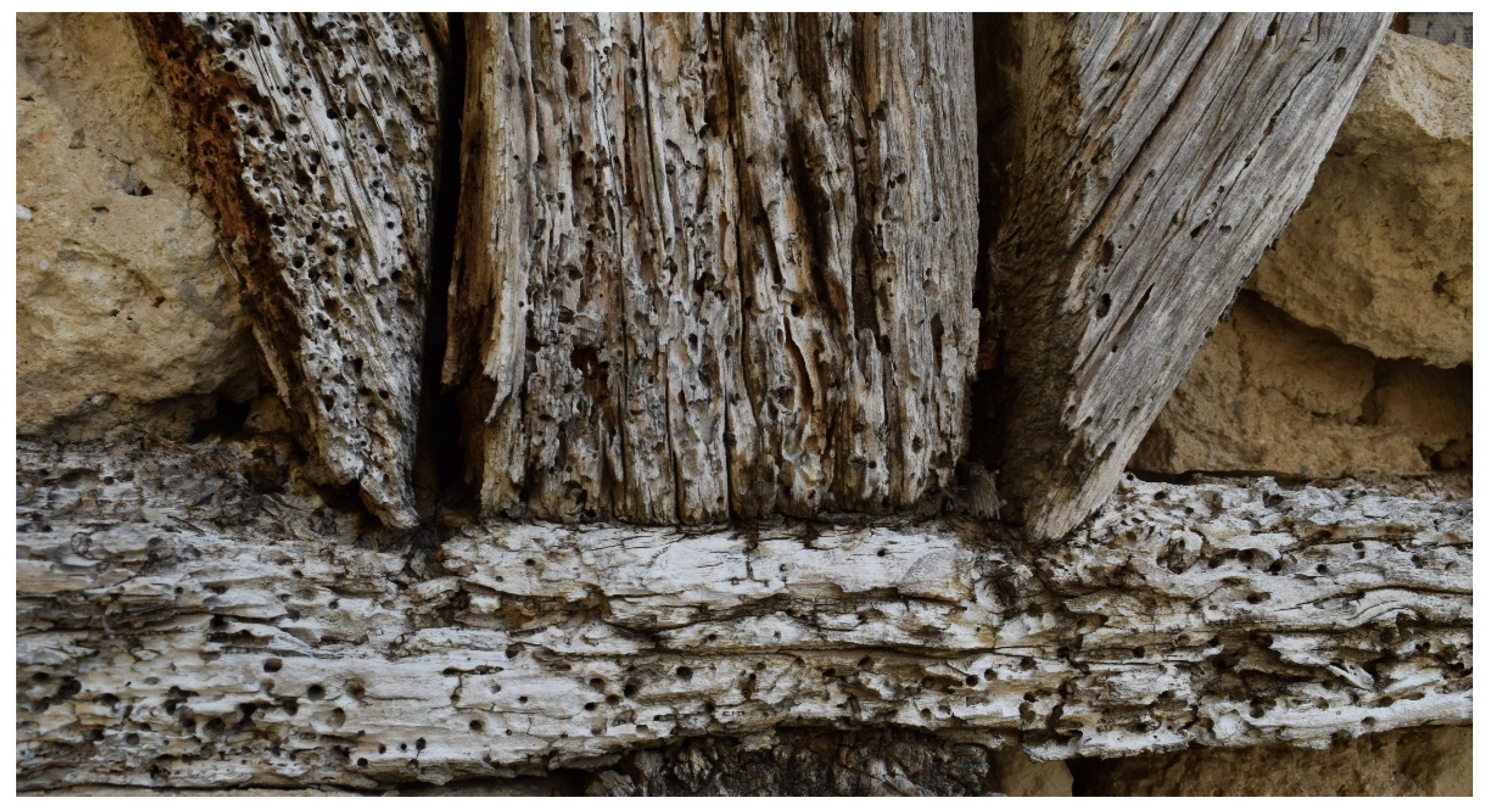 Sustainability 13 00772 g021 Sustainability 13 00772 g021