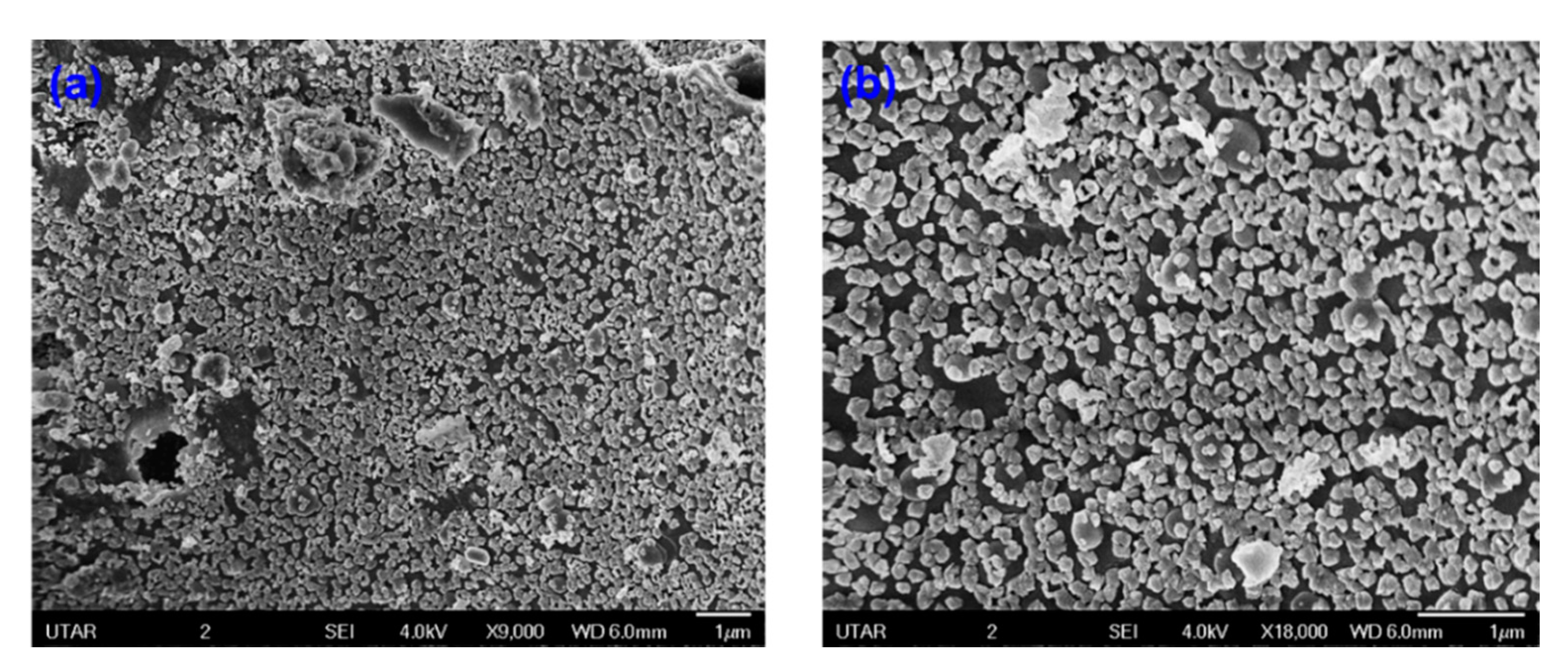 Sustainability 13 00796 g006