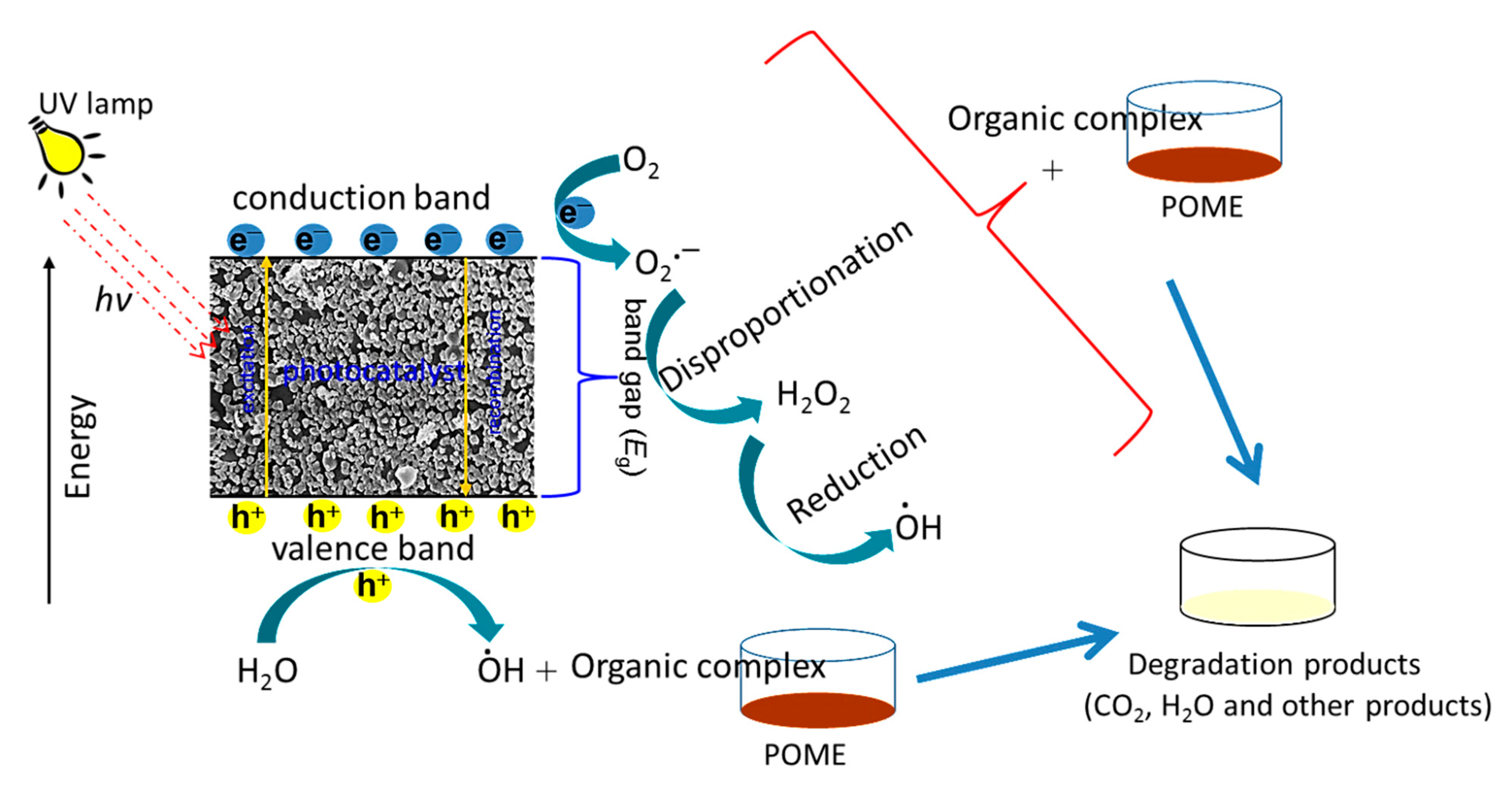 Sustainability 13 00796 sch002