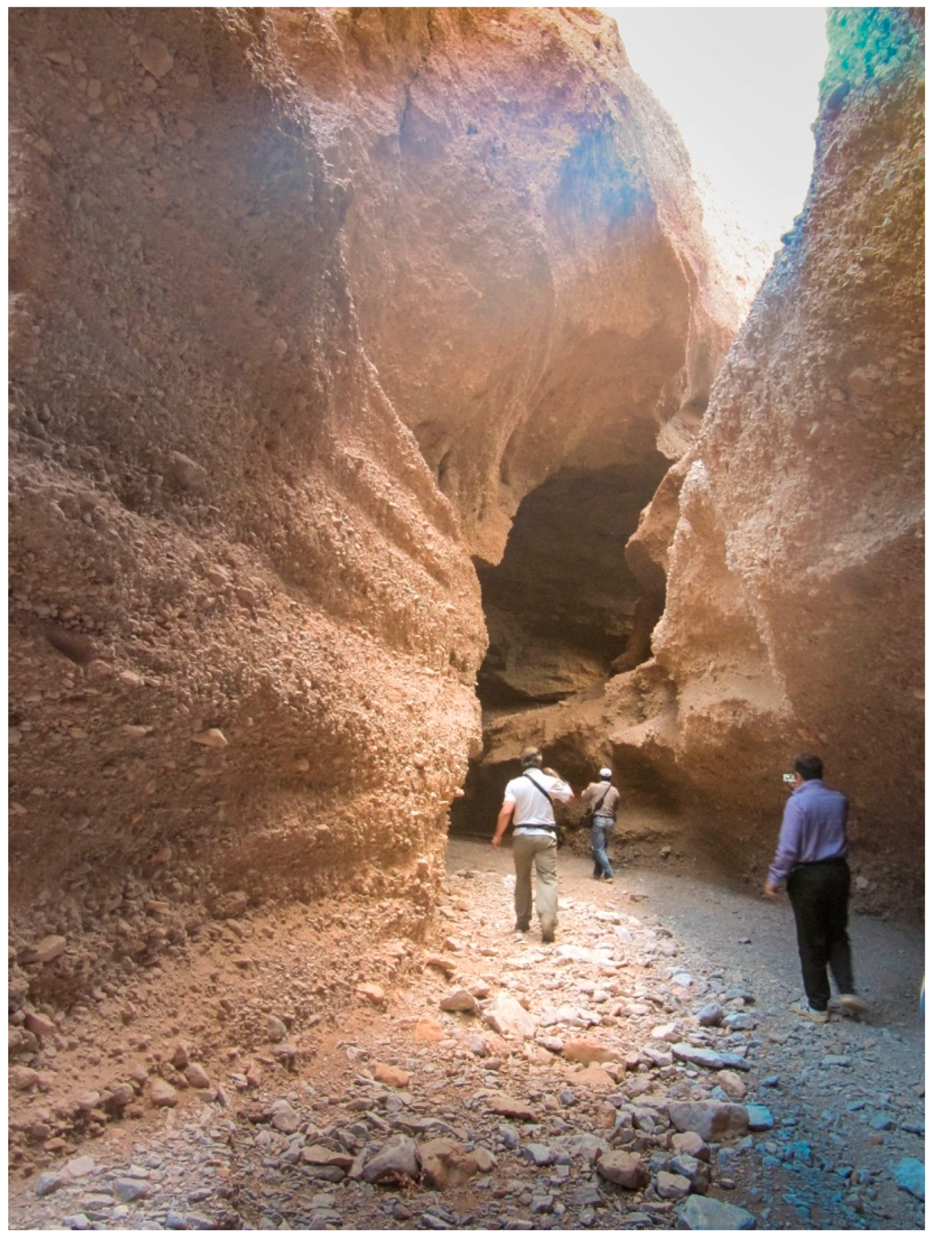 Sustainability 13 00798 g004