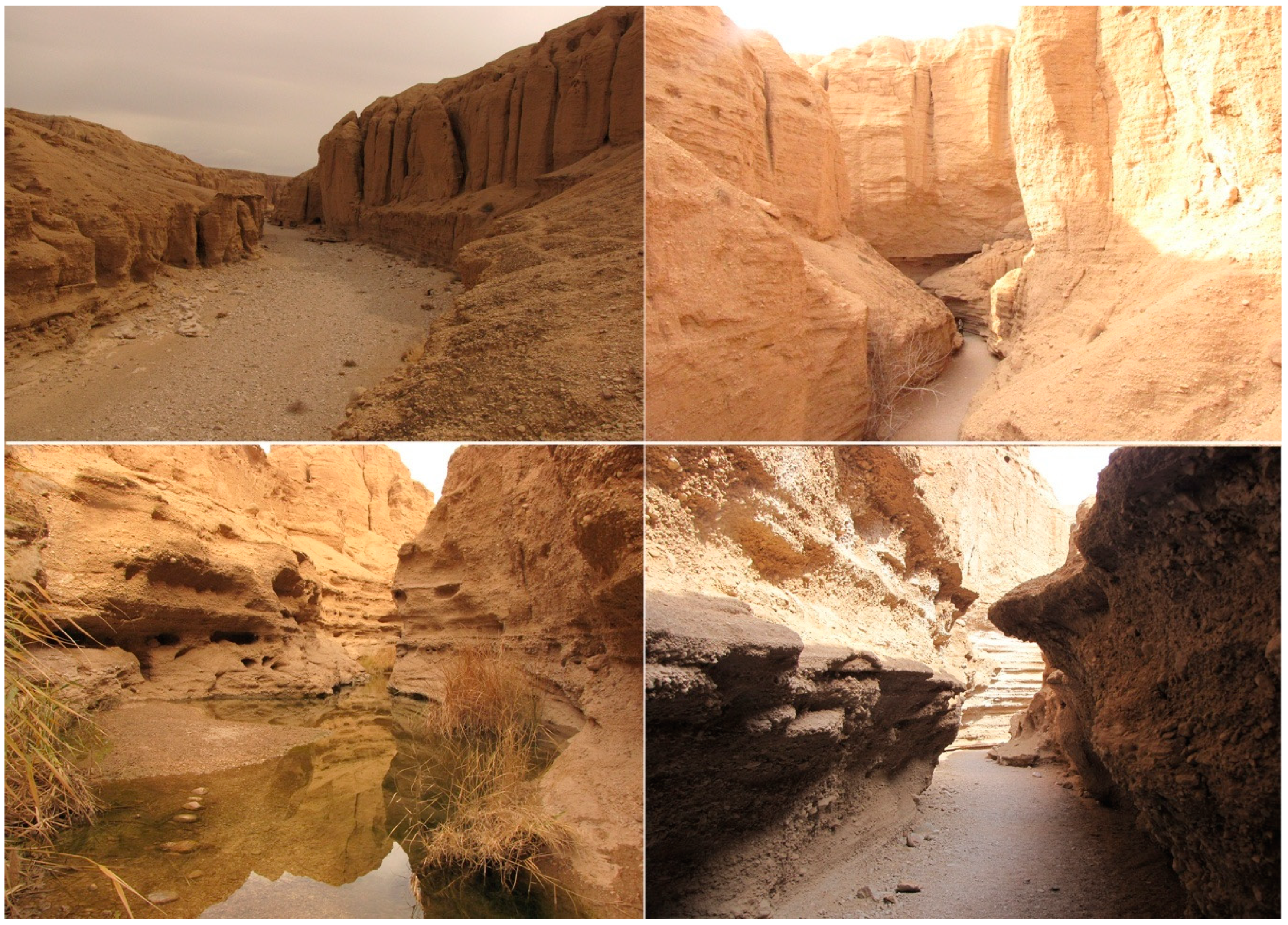 Sustainability 13 00798 g005