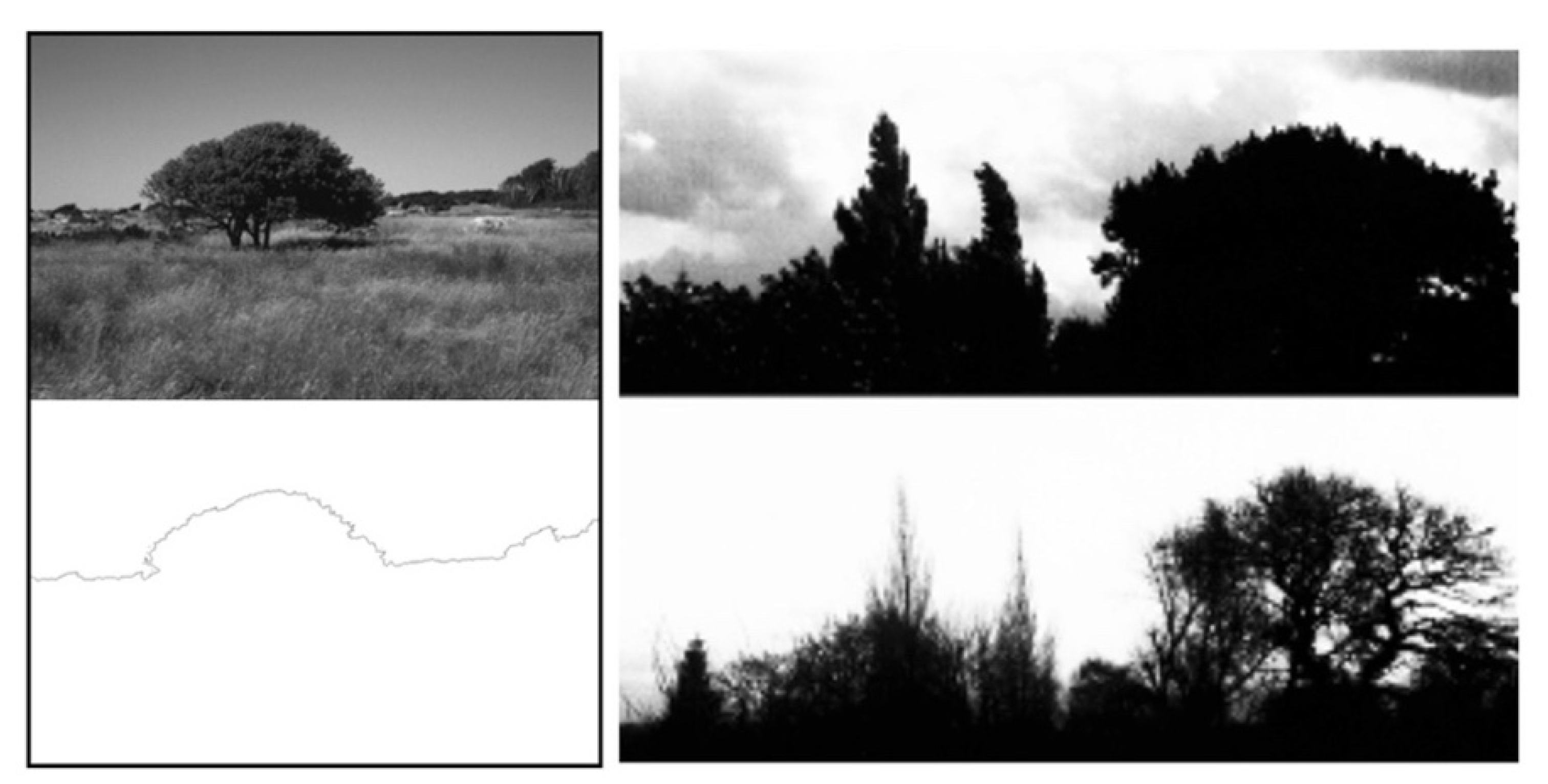 Sustainability 13 00823 g007