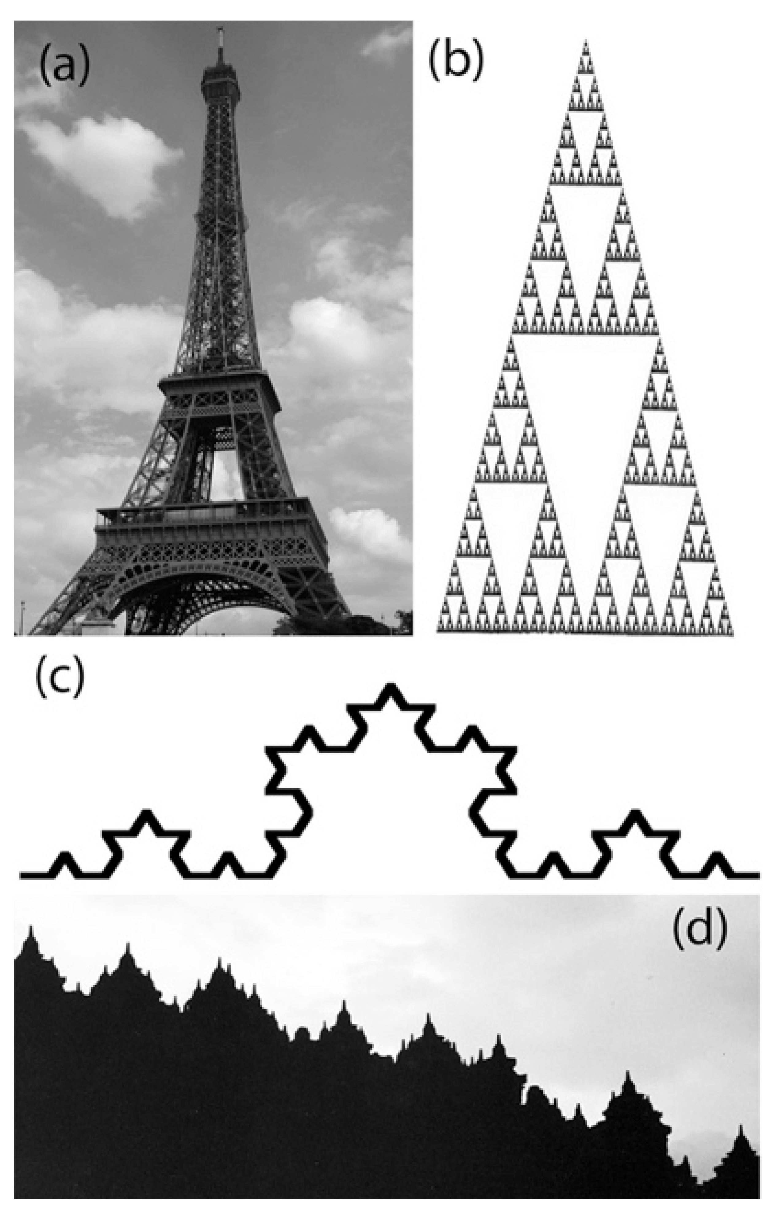 Sustainability 13 00823 g008
