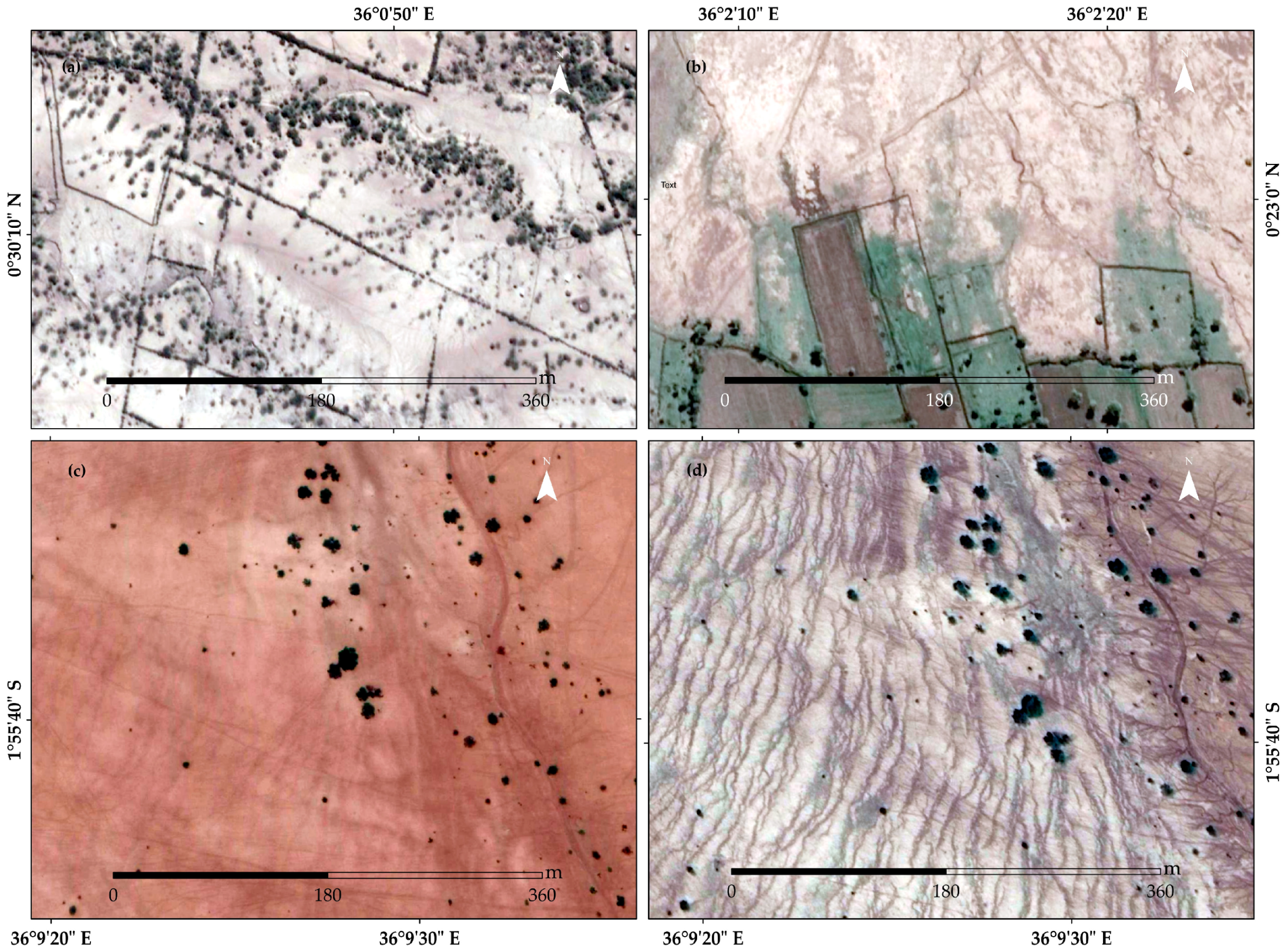 Sustainability 13 00844 g011