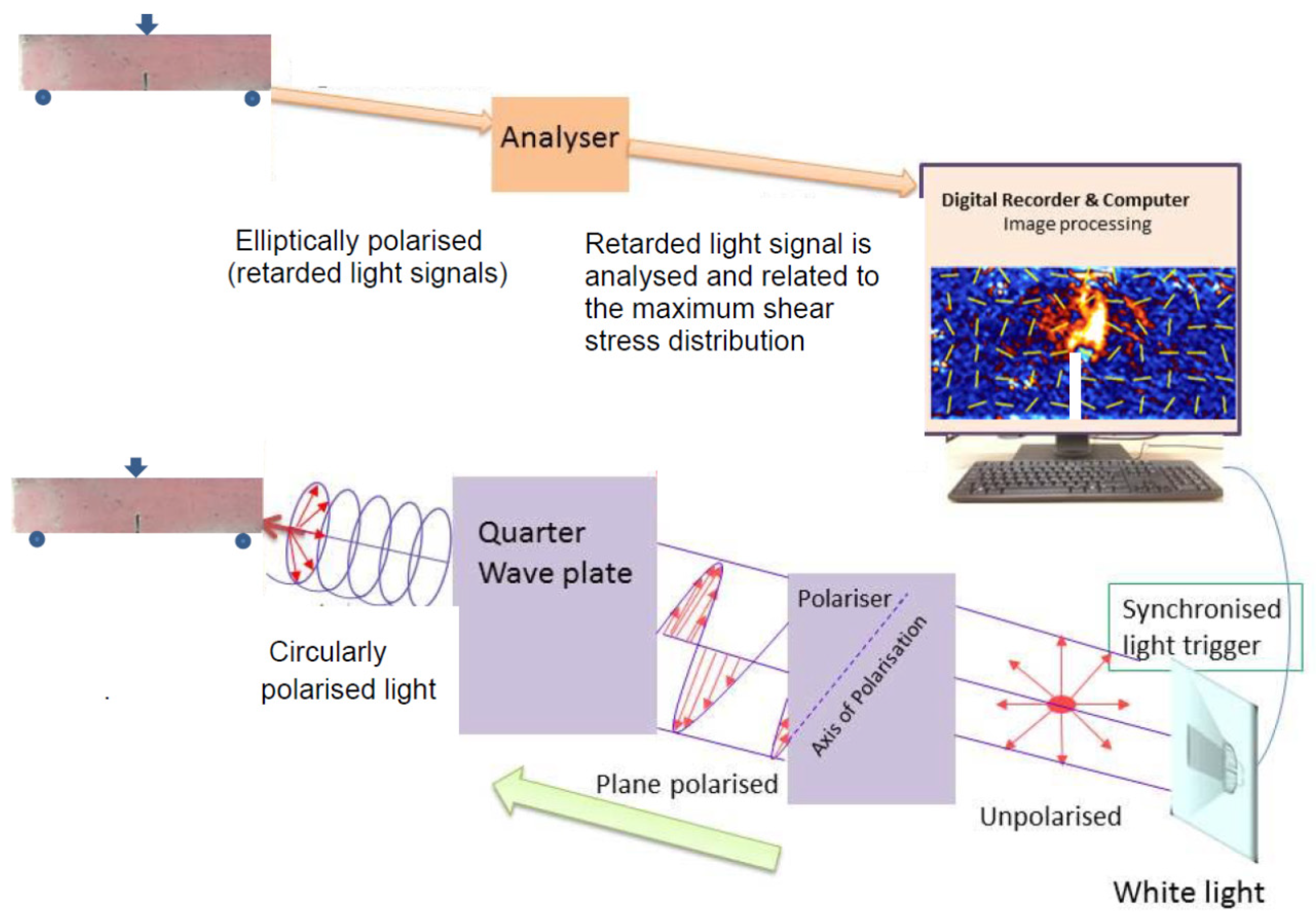Sustainability 13 00848 g005 Sustainability 13 00848 g005