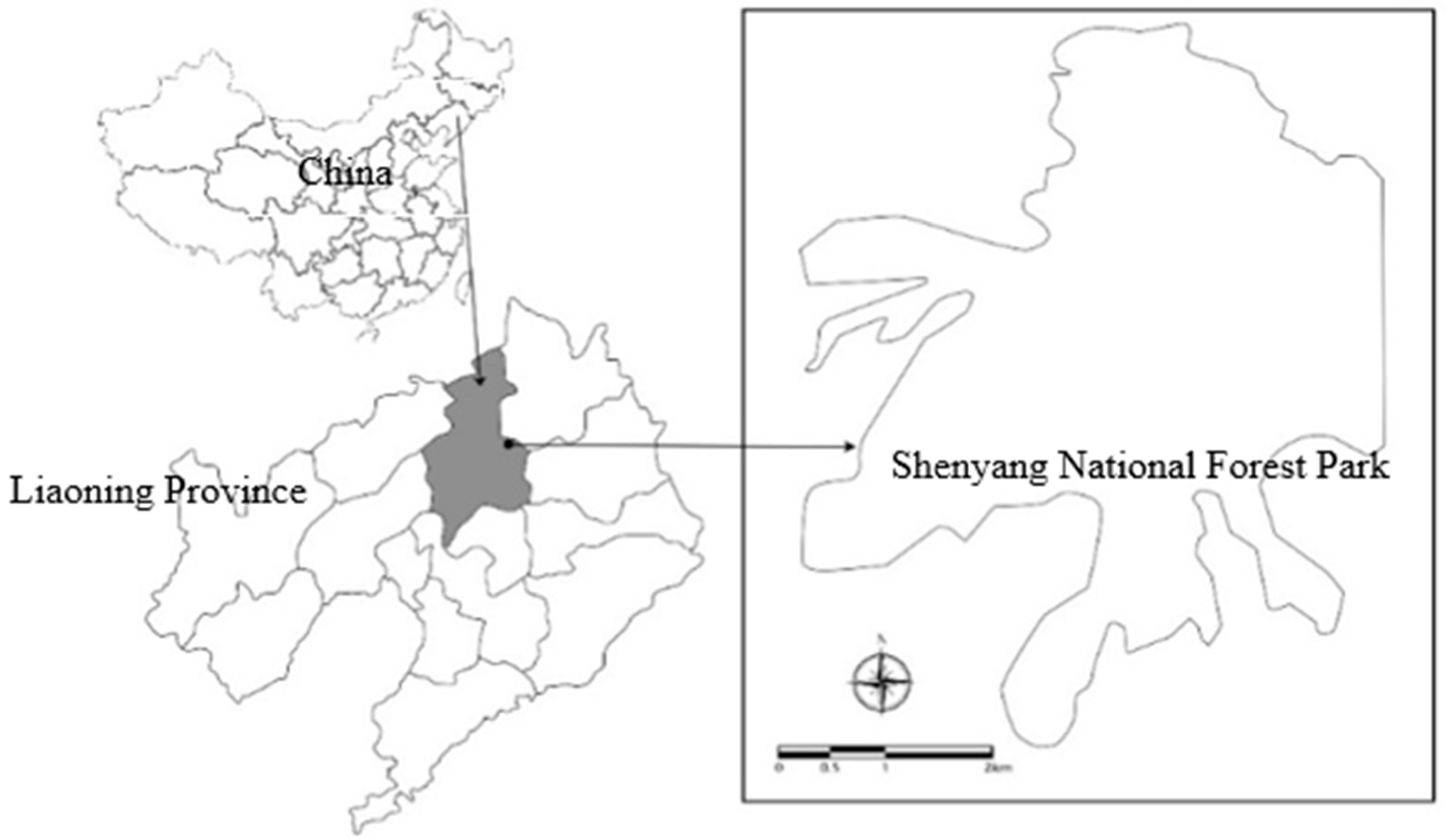 Sustainability 13 00861 g001