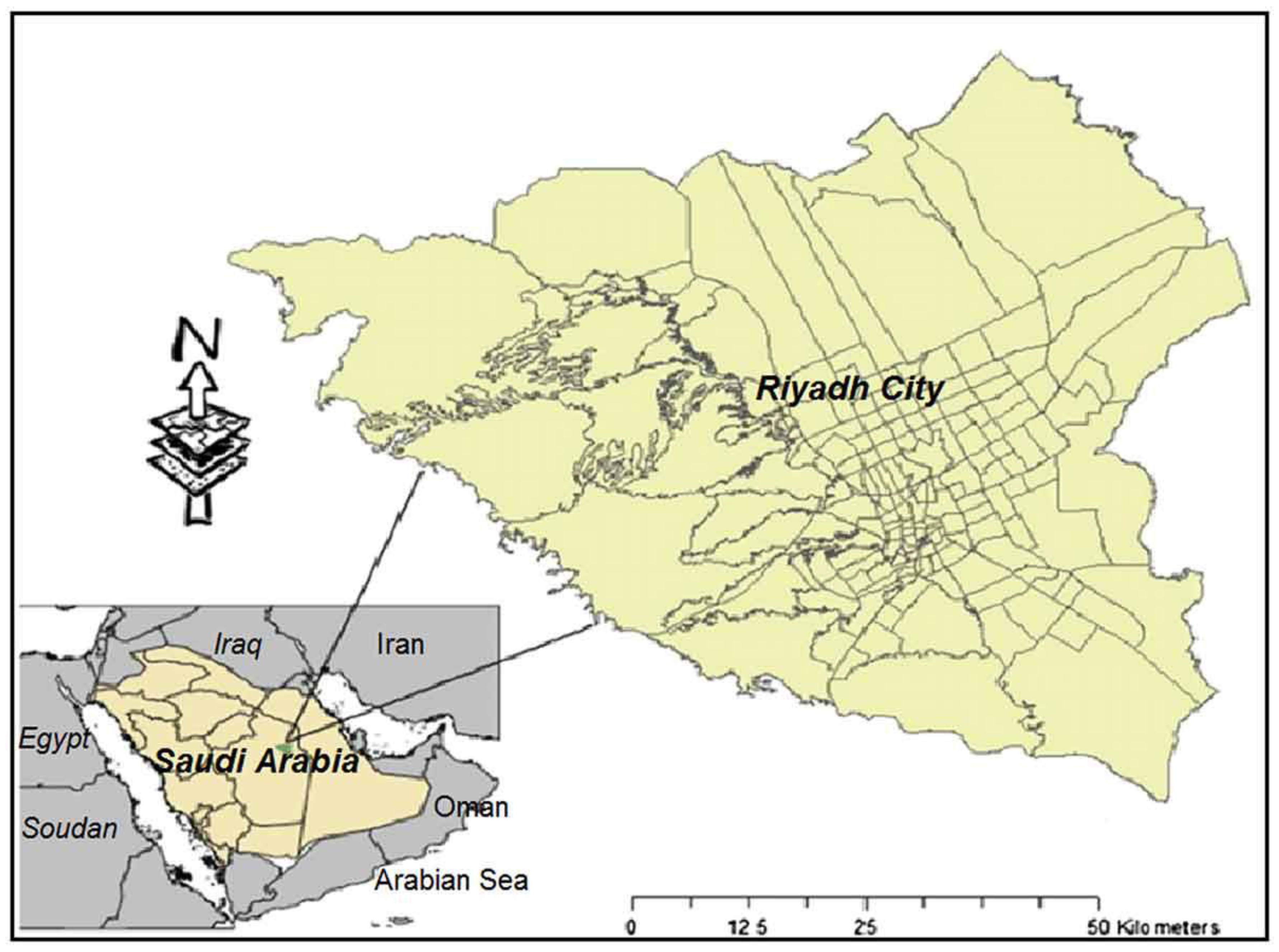 Sustainability 13 00863 g001