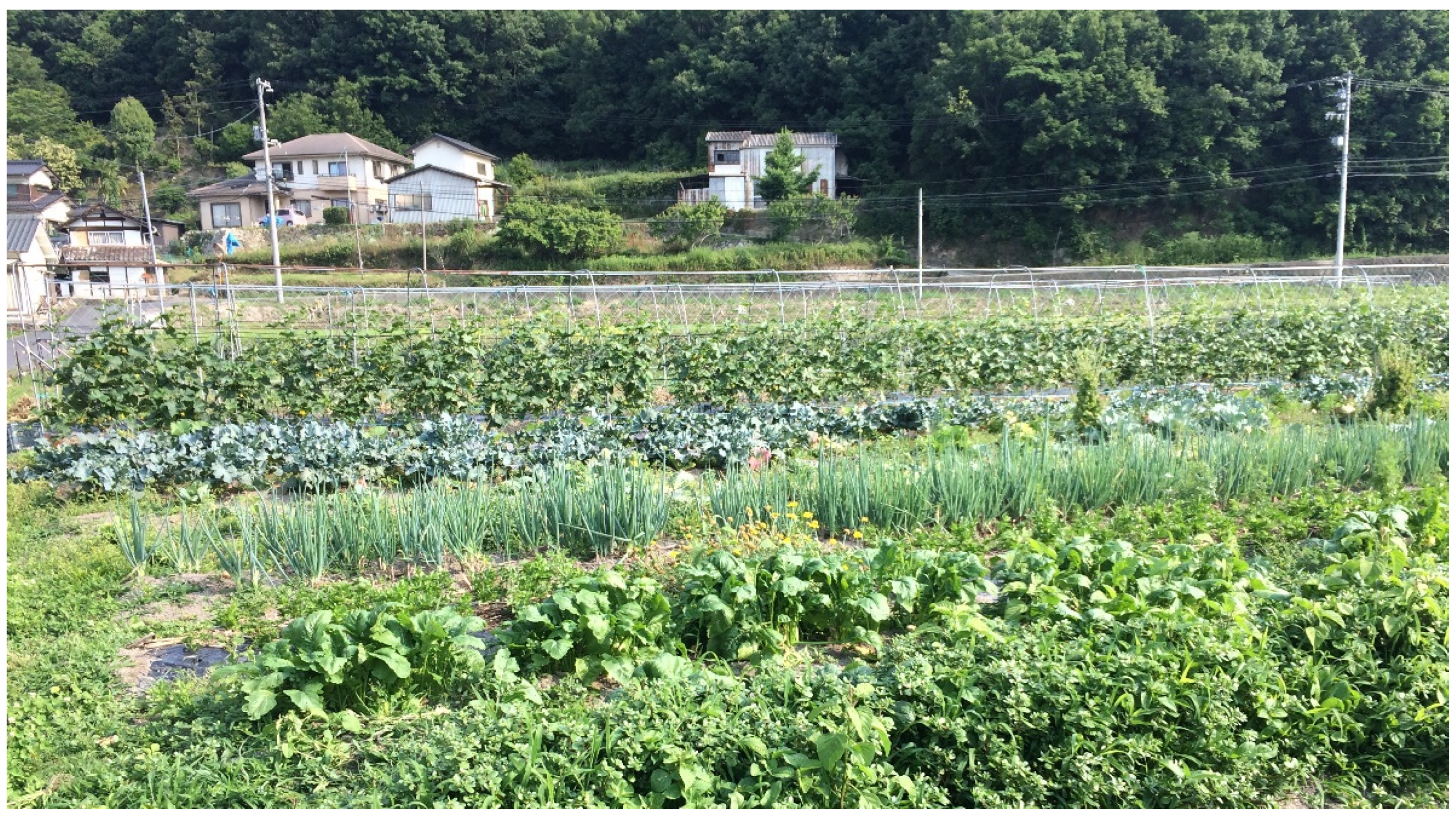 Sustainability 13 00866 g003