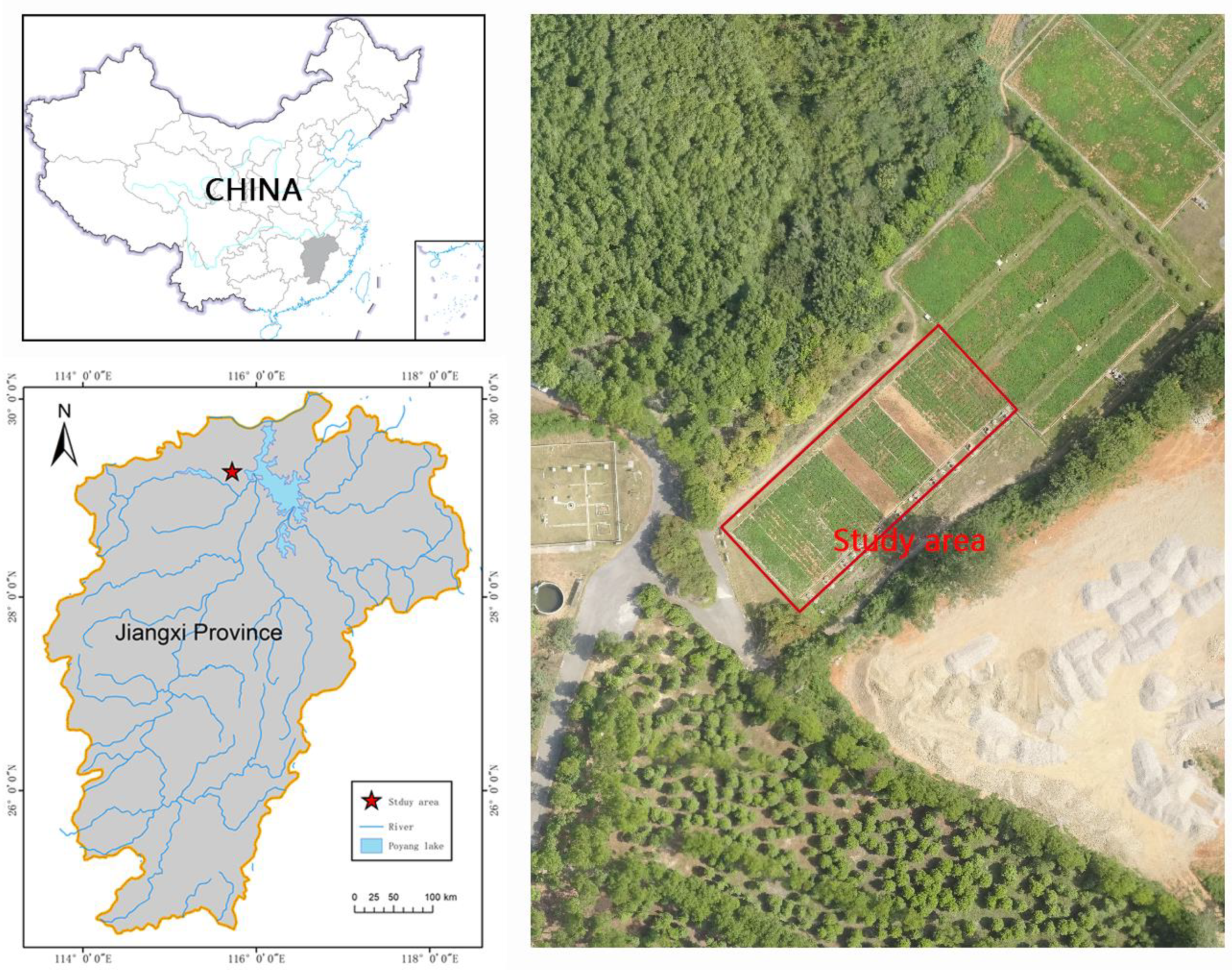 Sustainability 13 00890 g001