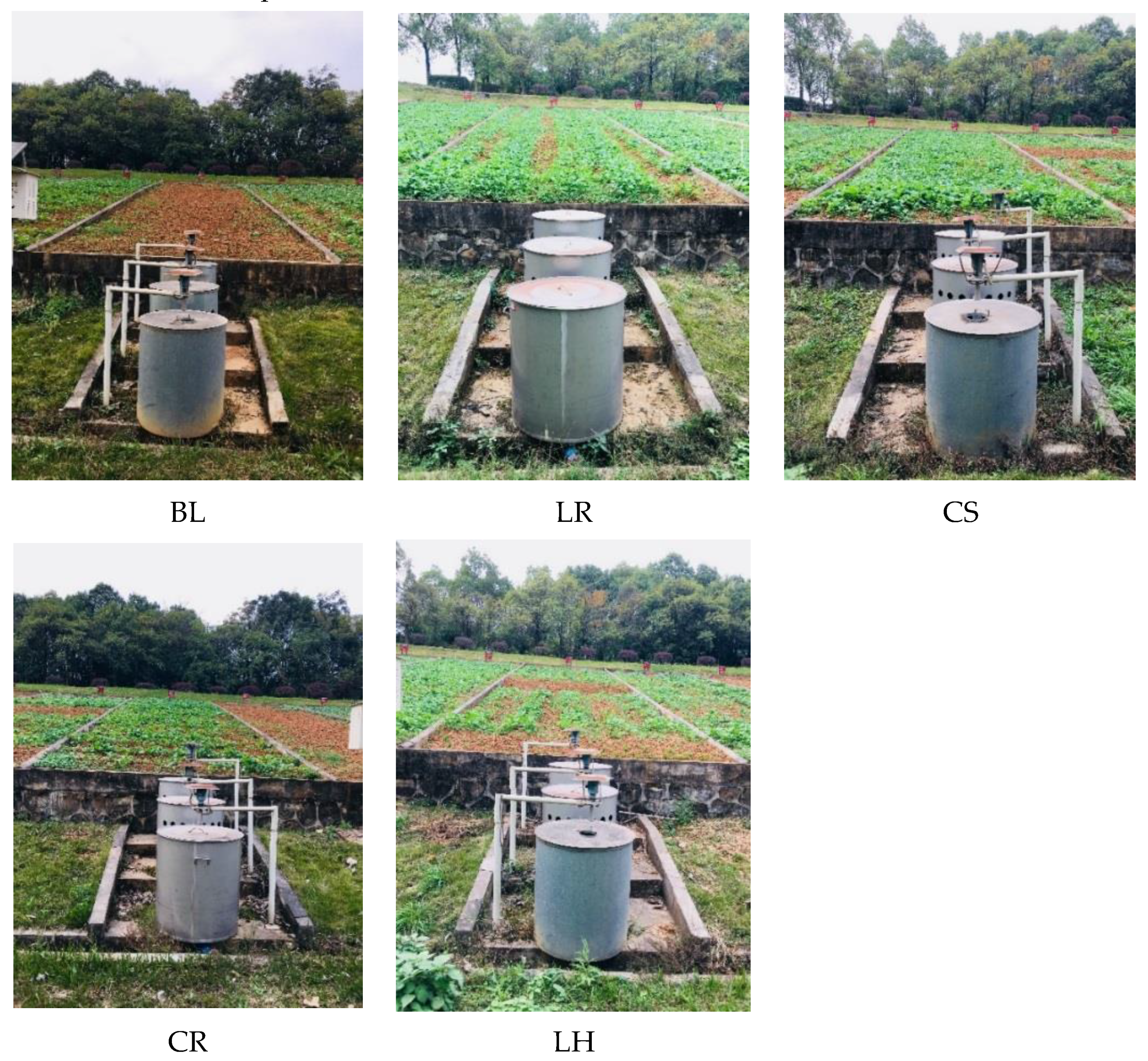 Sustainability 13 00890 g002