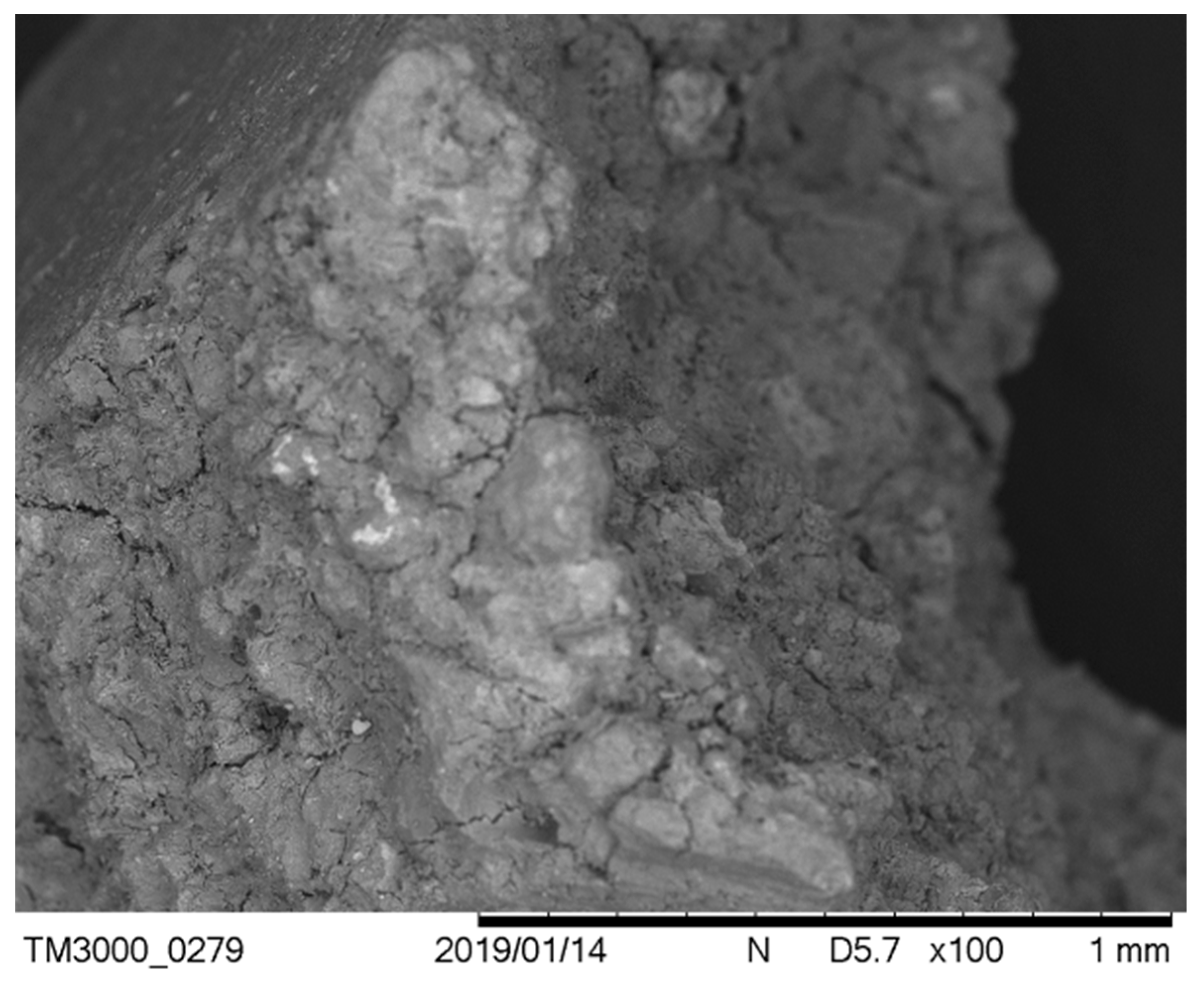 Sustainability 13 00911 g009