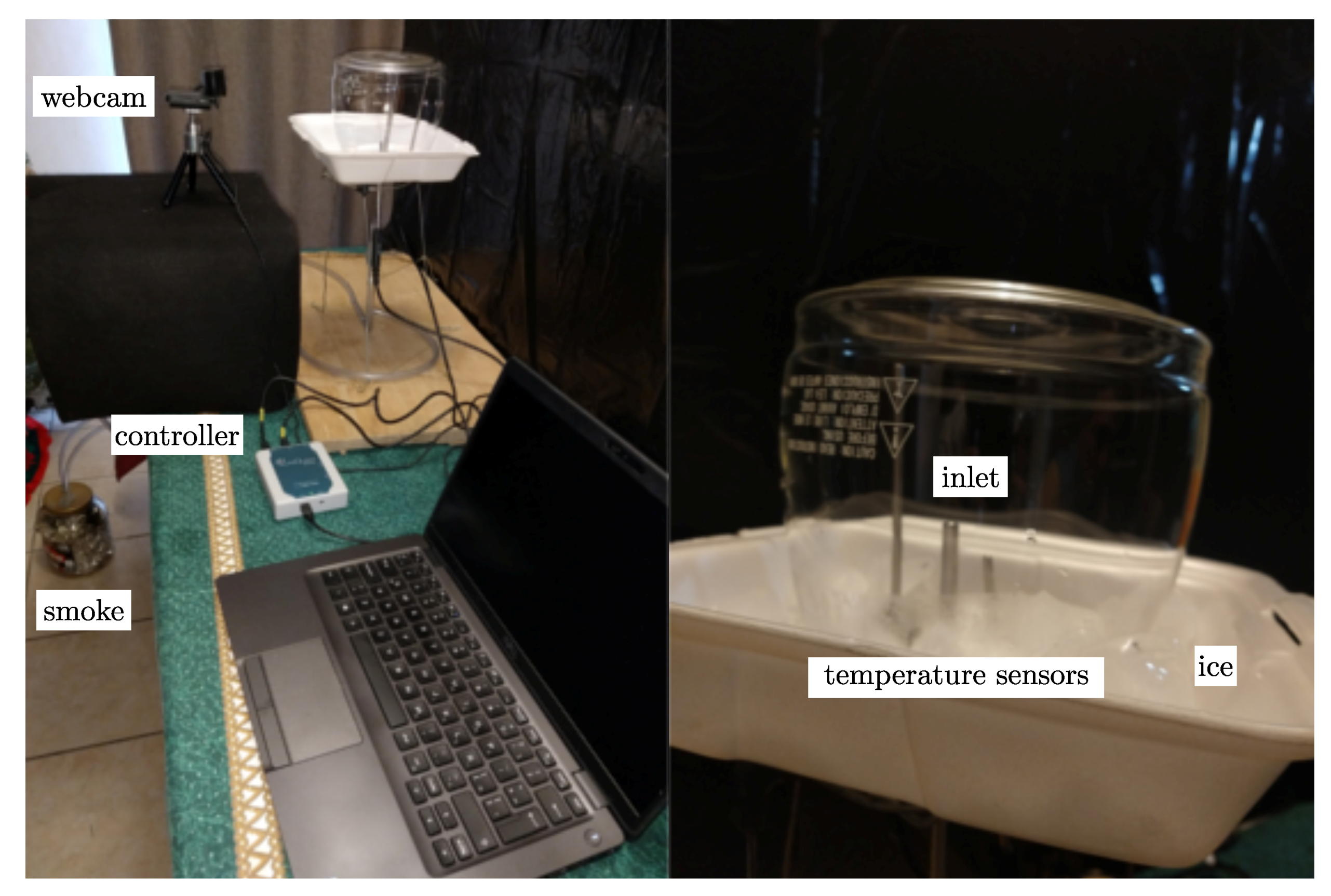 Sustainability 13 00919 g003
