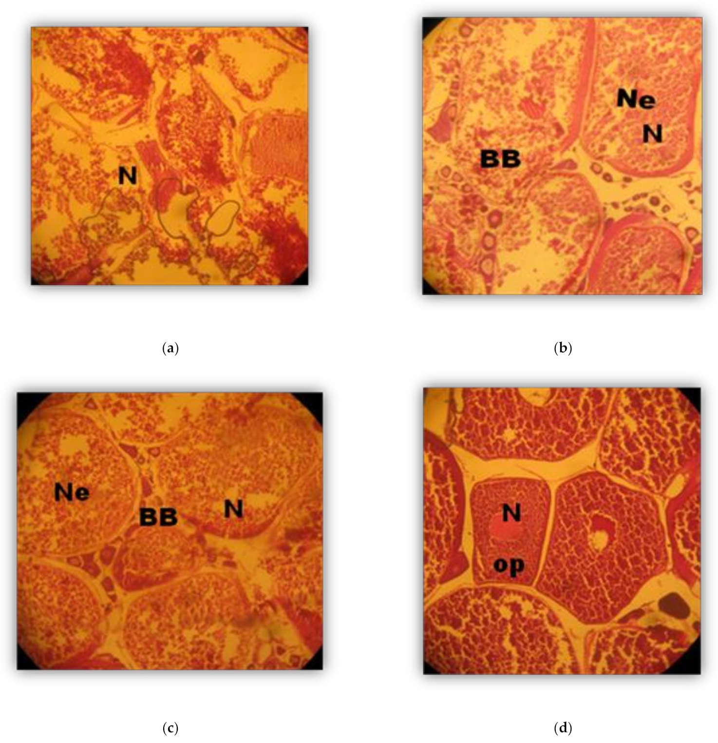 Sustainability 13 00921 g001