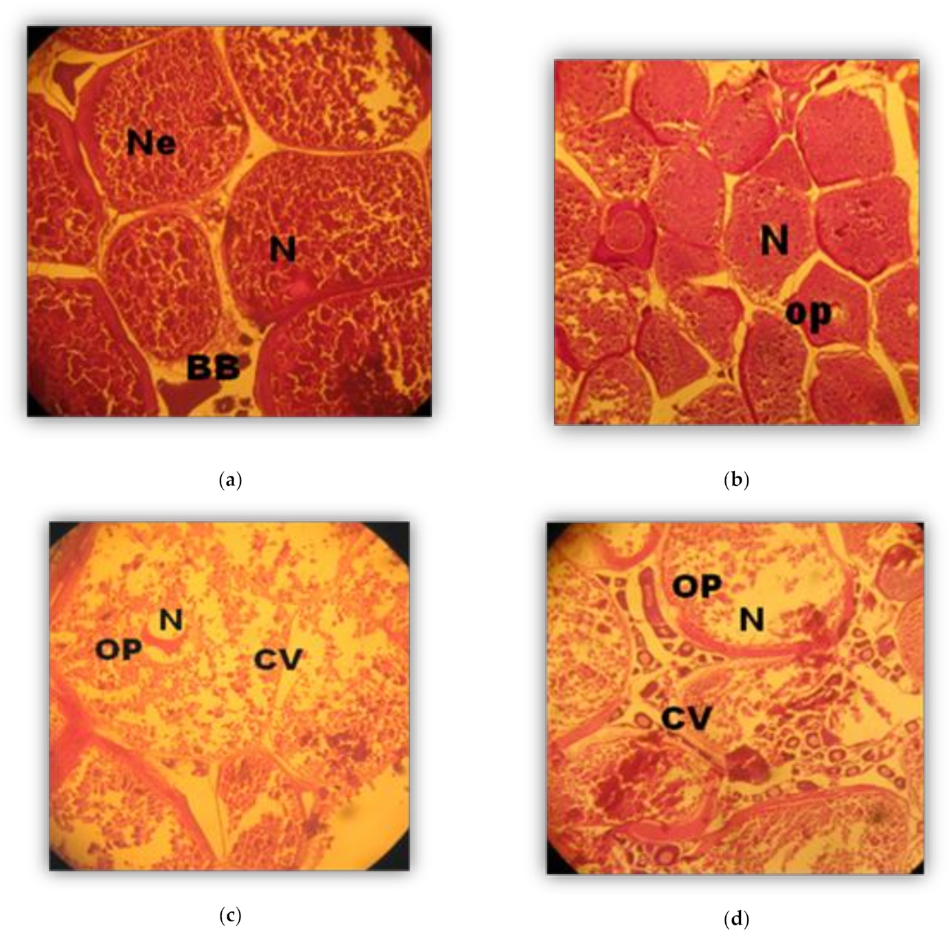 Sustainability 13 00921 g002