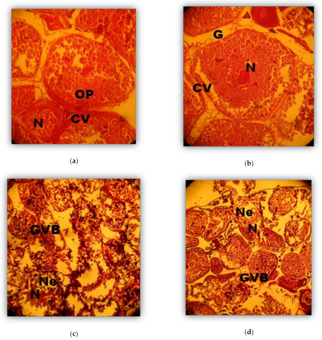 Sustainability 13 00921 g003
