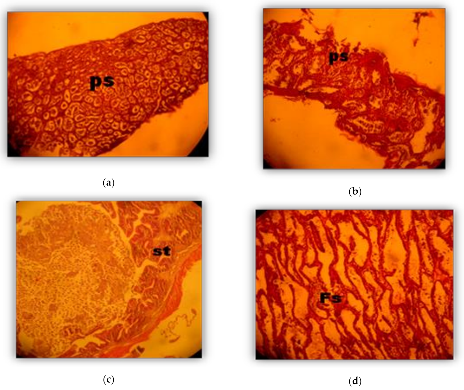 Sustainability 13 00921 g005