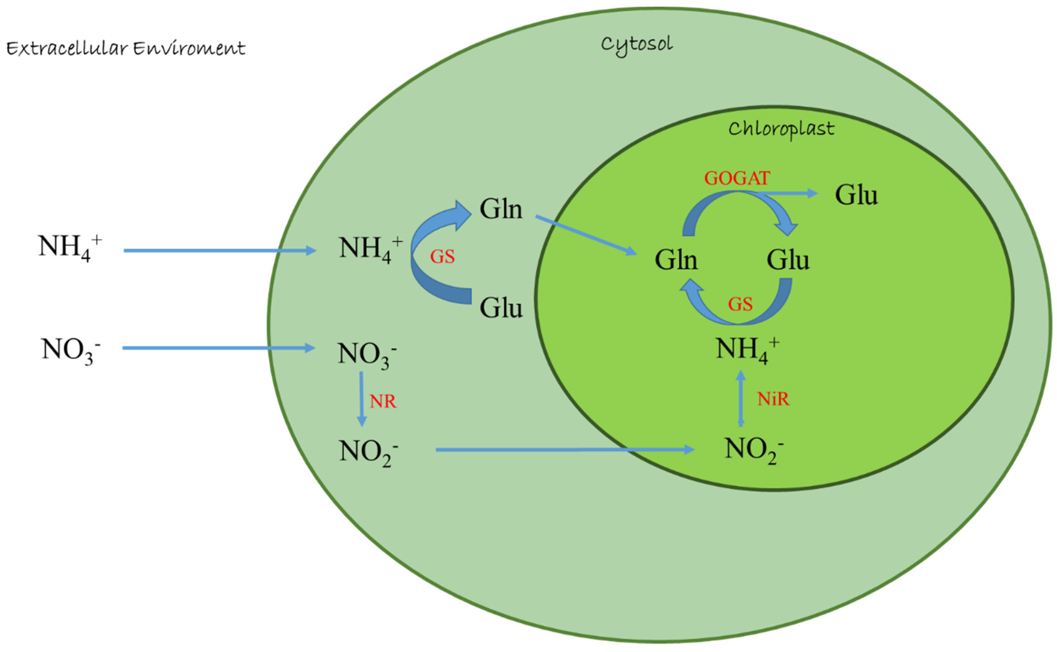 Sustainability 13 00956 g001