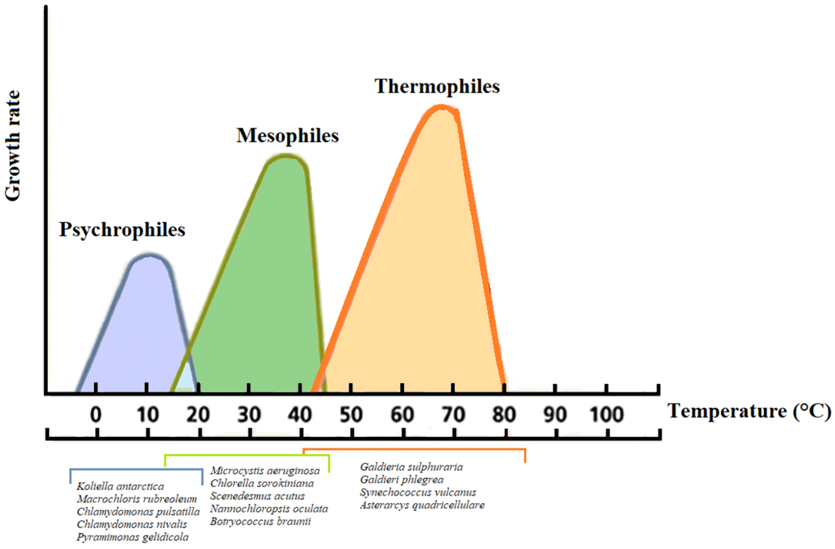 Sustainability 13 00956 g003