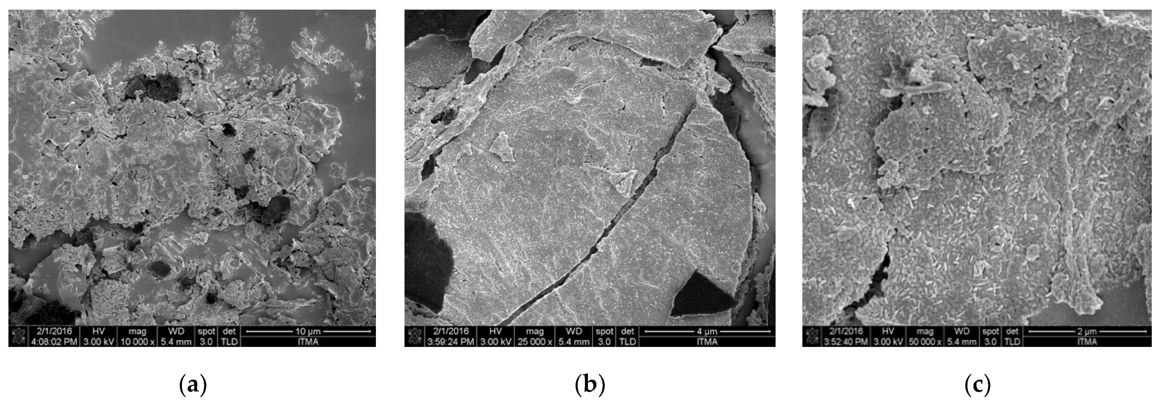 Sustainability 13 01014 g001