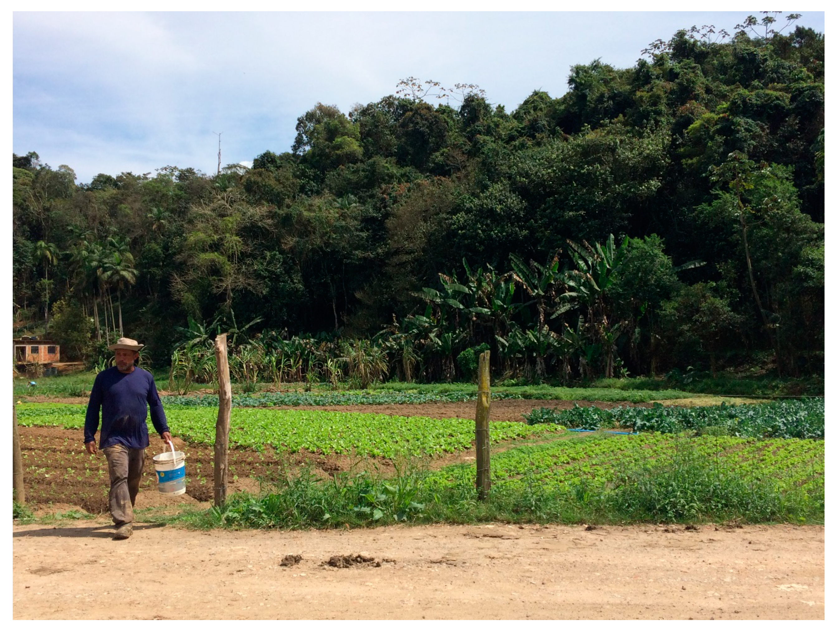 Sustainability 13 01019 g004