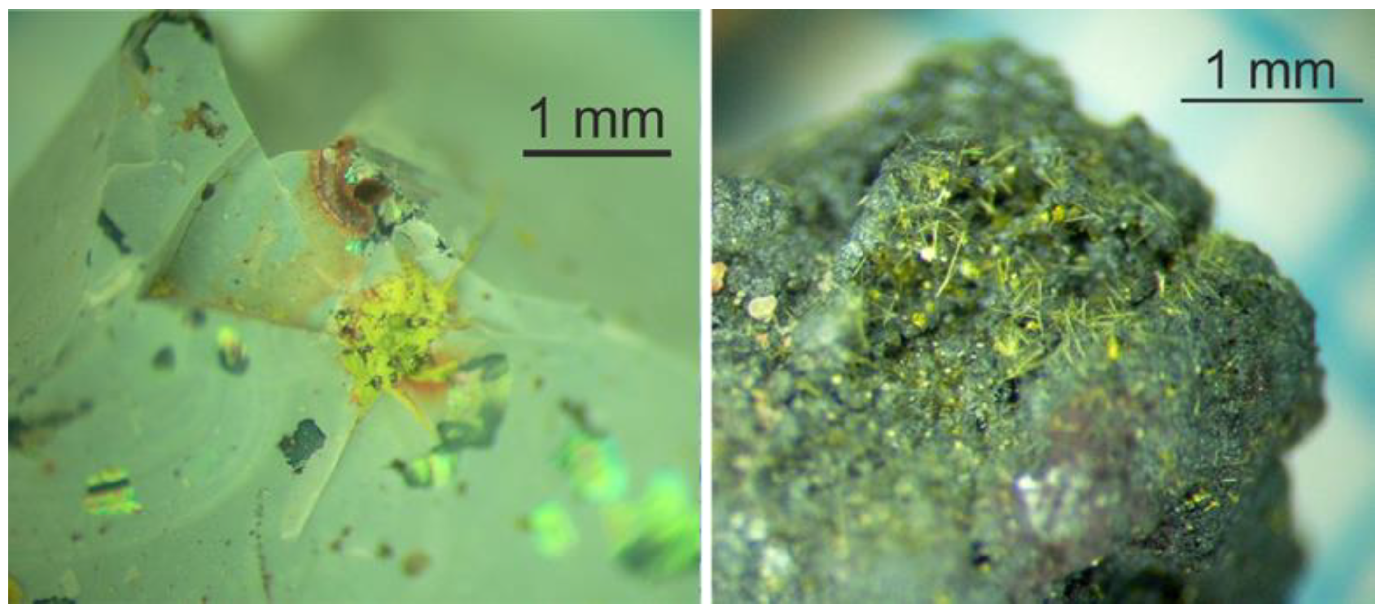 Sustainability 13 01073 g006