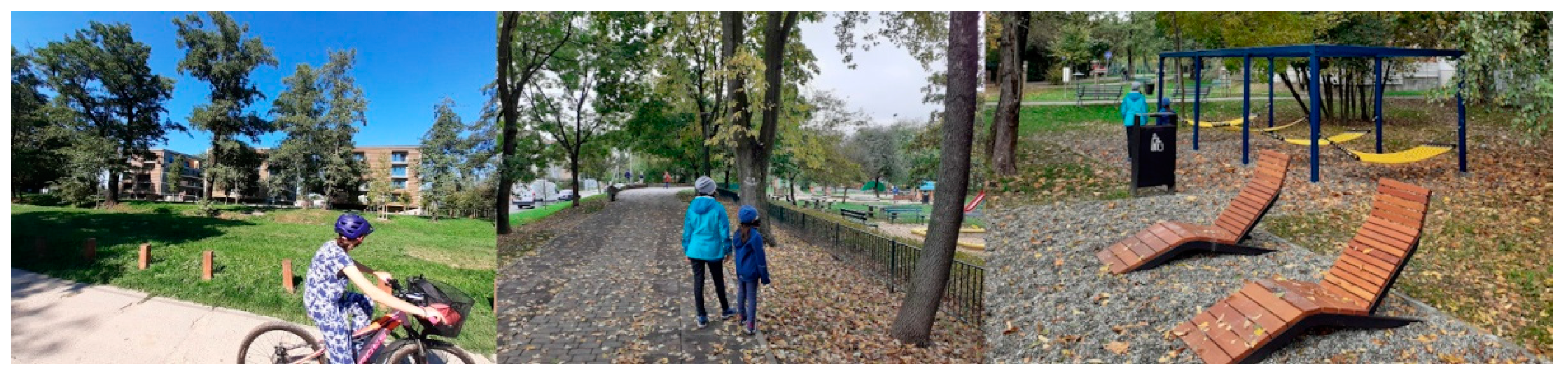 Sustainability 13 01116 g004