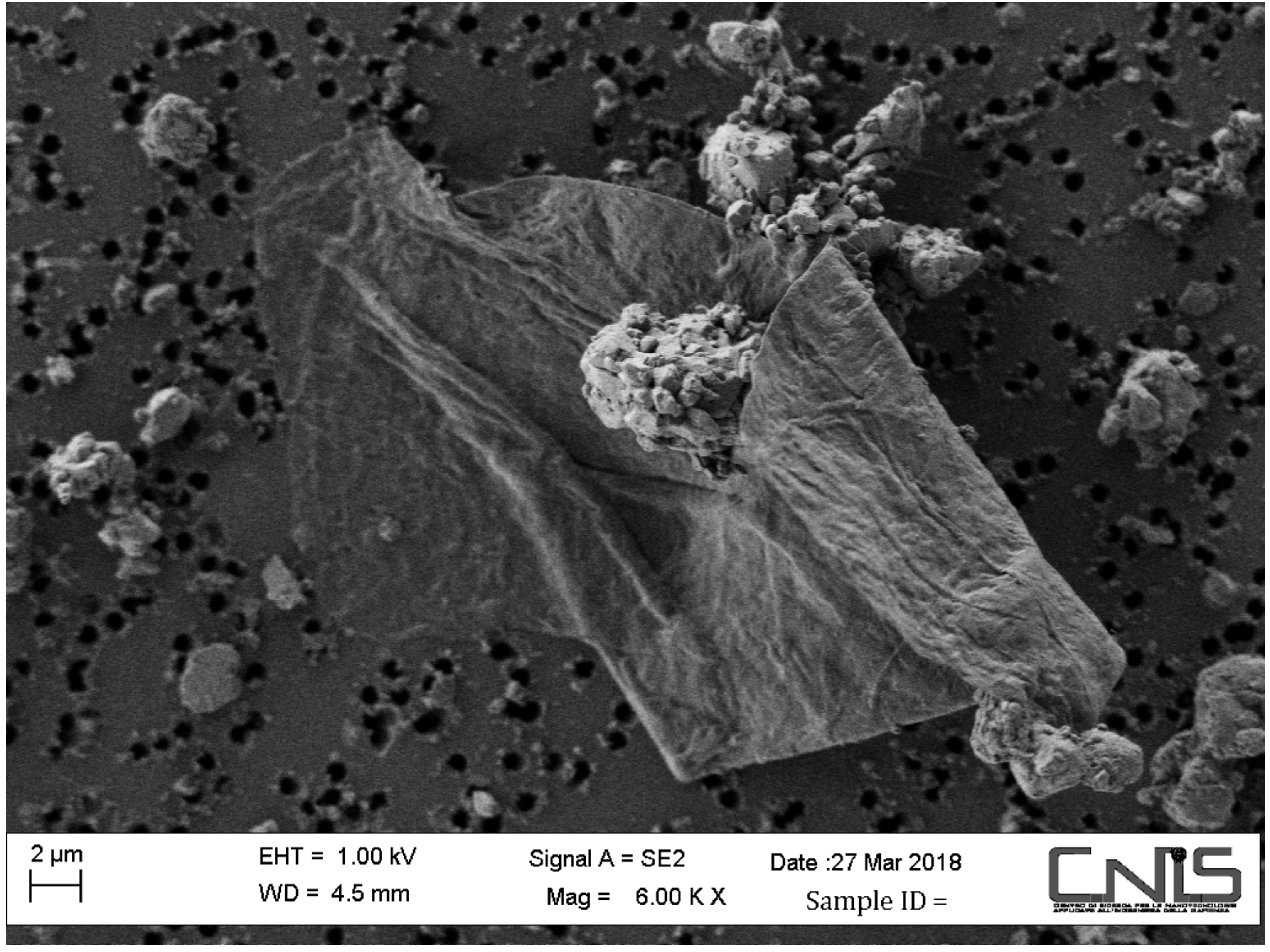 Sustainability 13 01149 g002 Sustainability 13 01149 g002