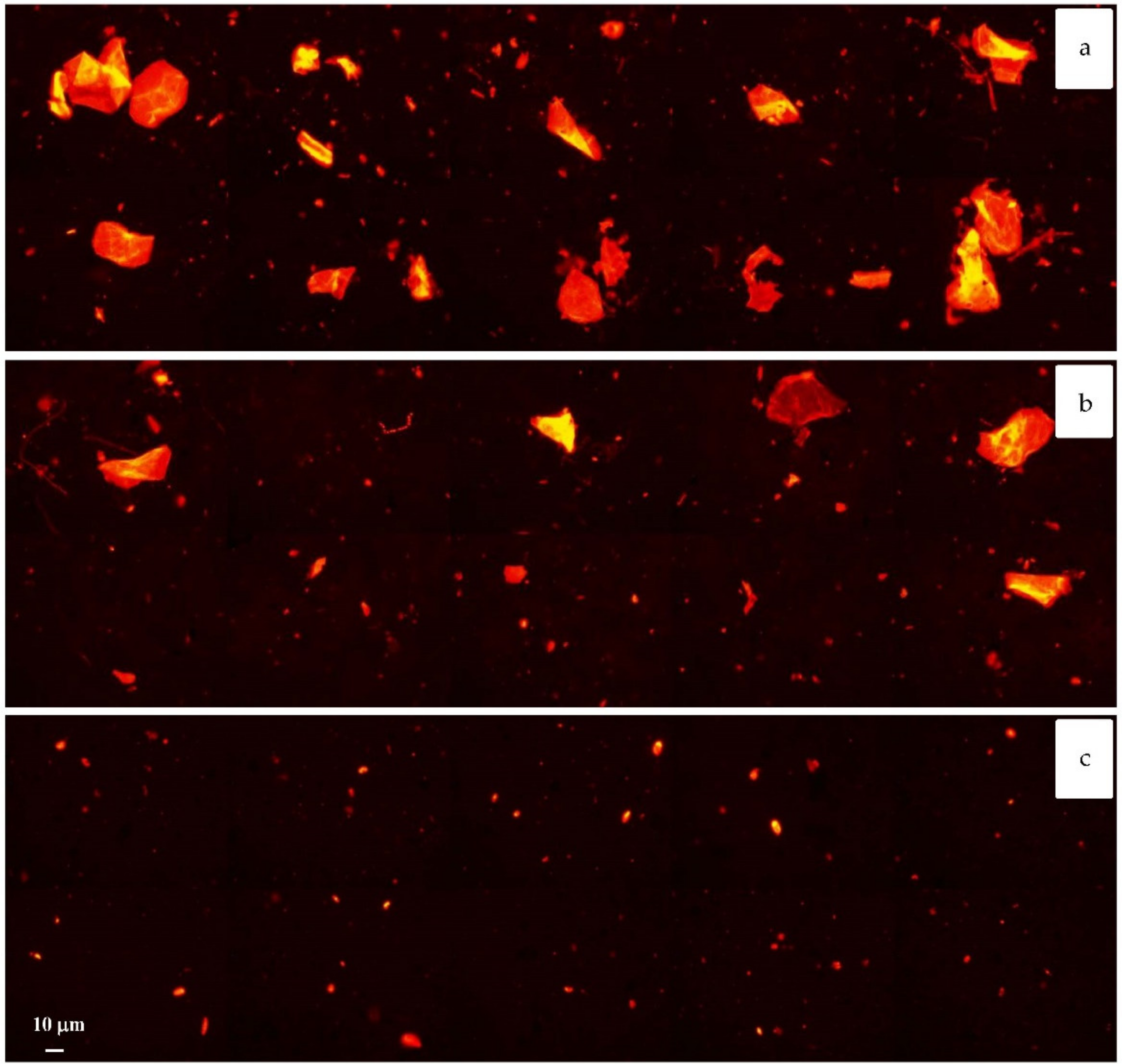 Sustainability 13 01149 g005 Sustainability 13 01149 g005