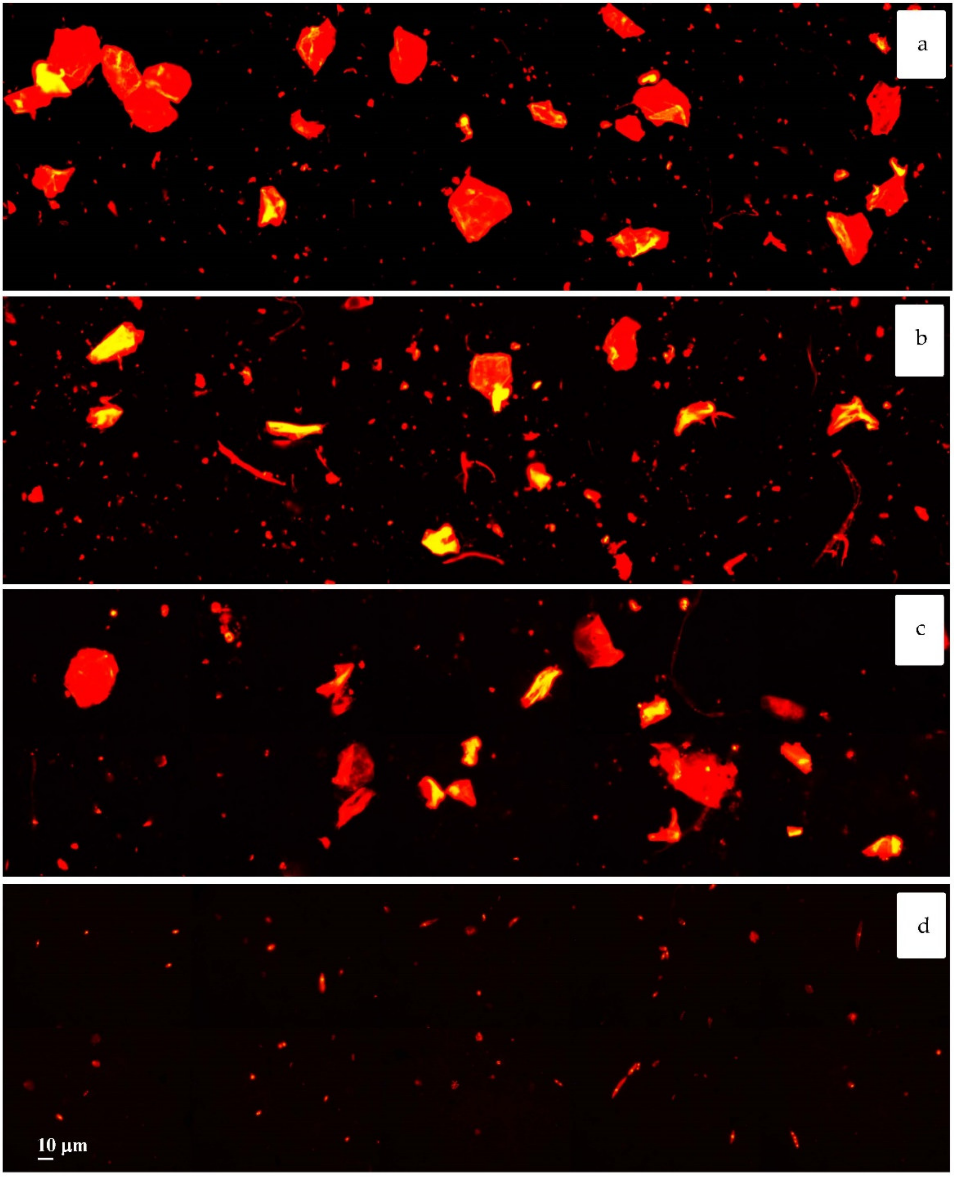 Sustainability 13 01149 g006 Sustainability 13 01149 g006
