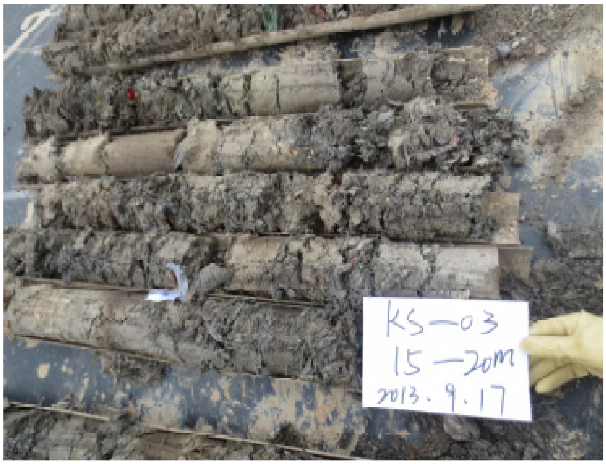 Sustainability 13 01150 g002