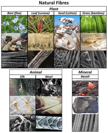 Sustainability 13 01160 g005