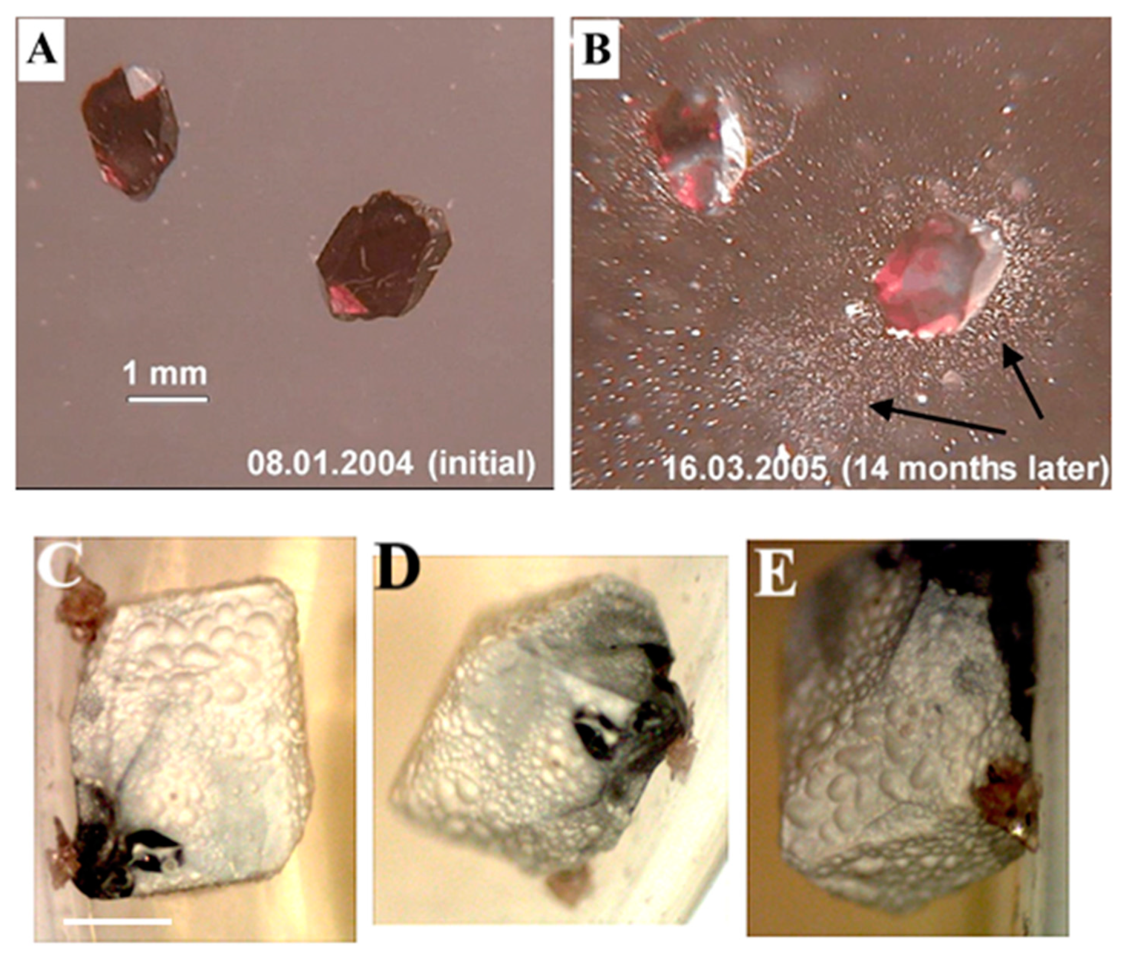 Sustainability 13 01203 g001