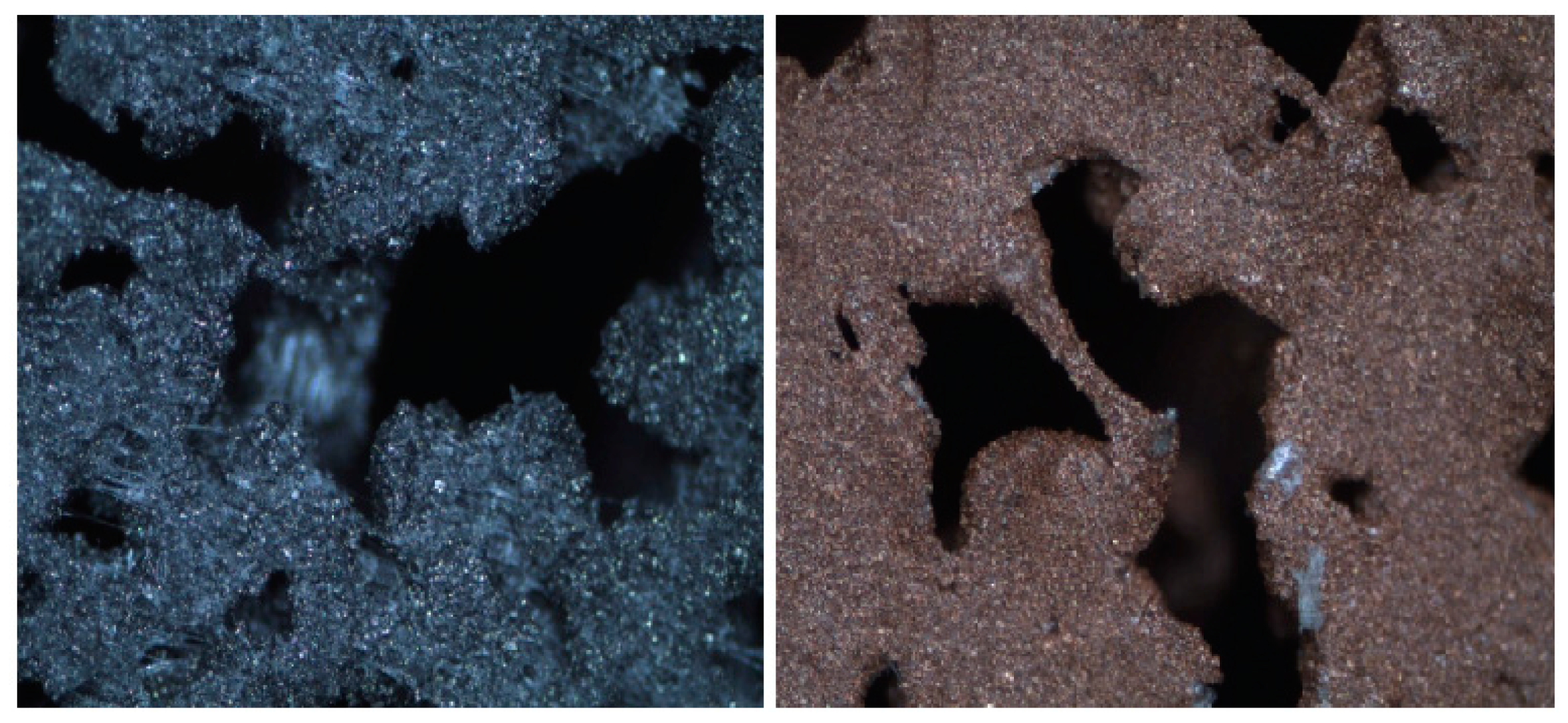 Sustainability 13 01256 g010