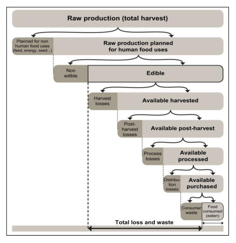 Sustainability 13 01267 g001