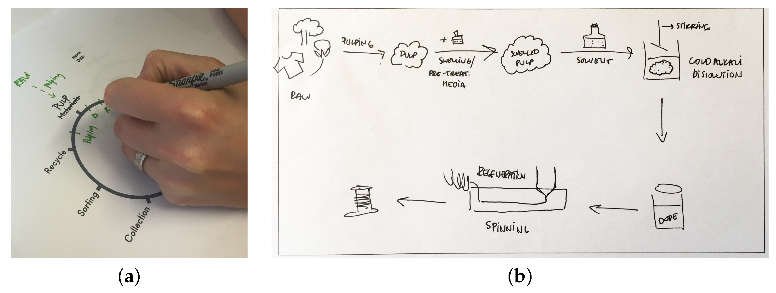 Sustainability 13 01268 g002