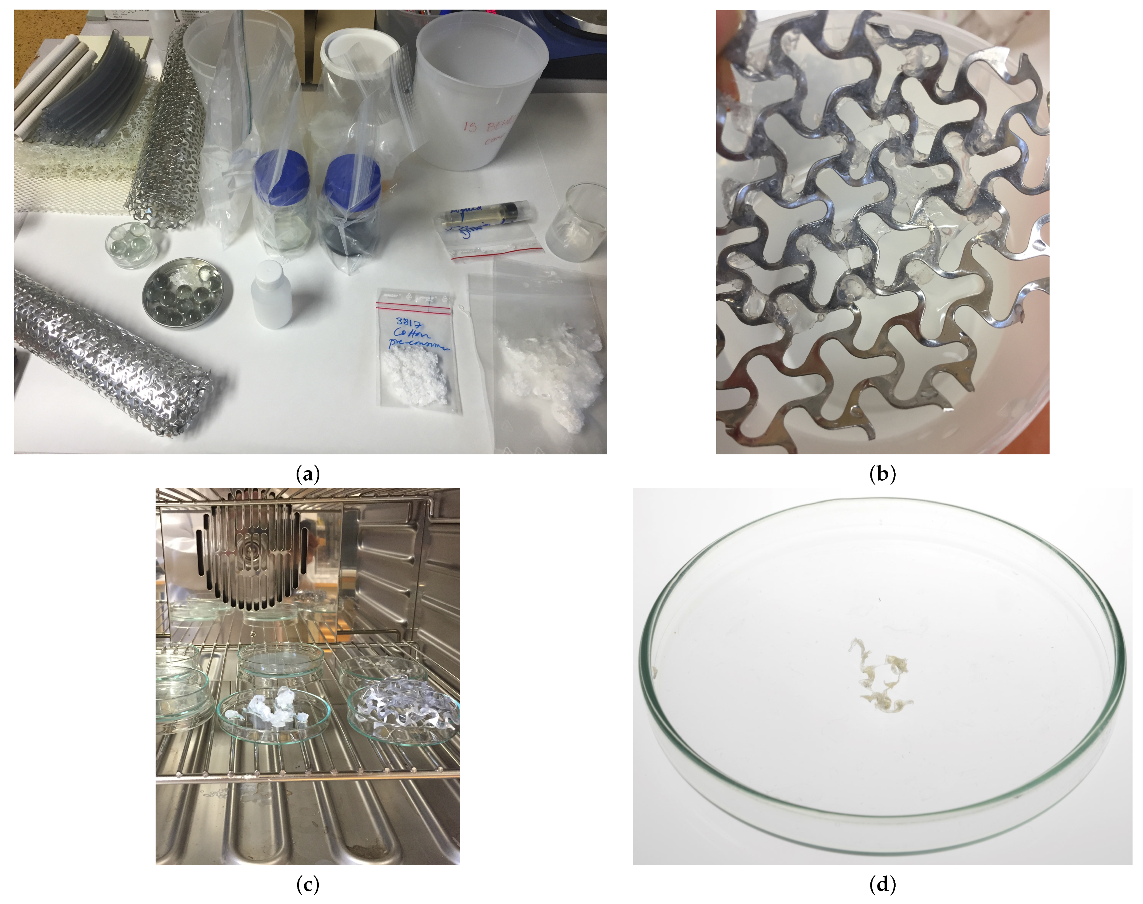 Sustainability 13 01268 g004