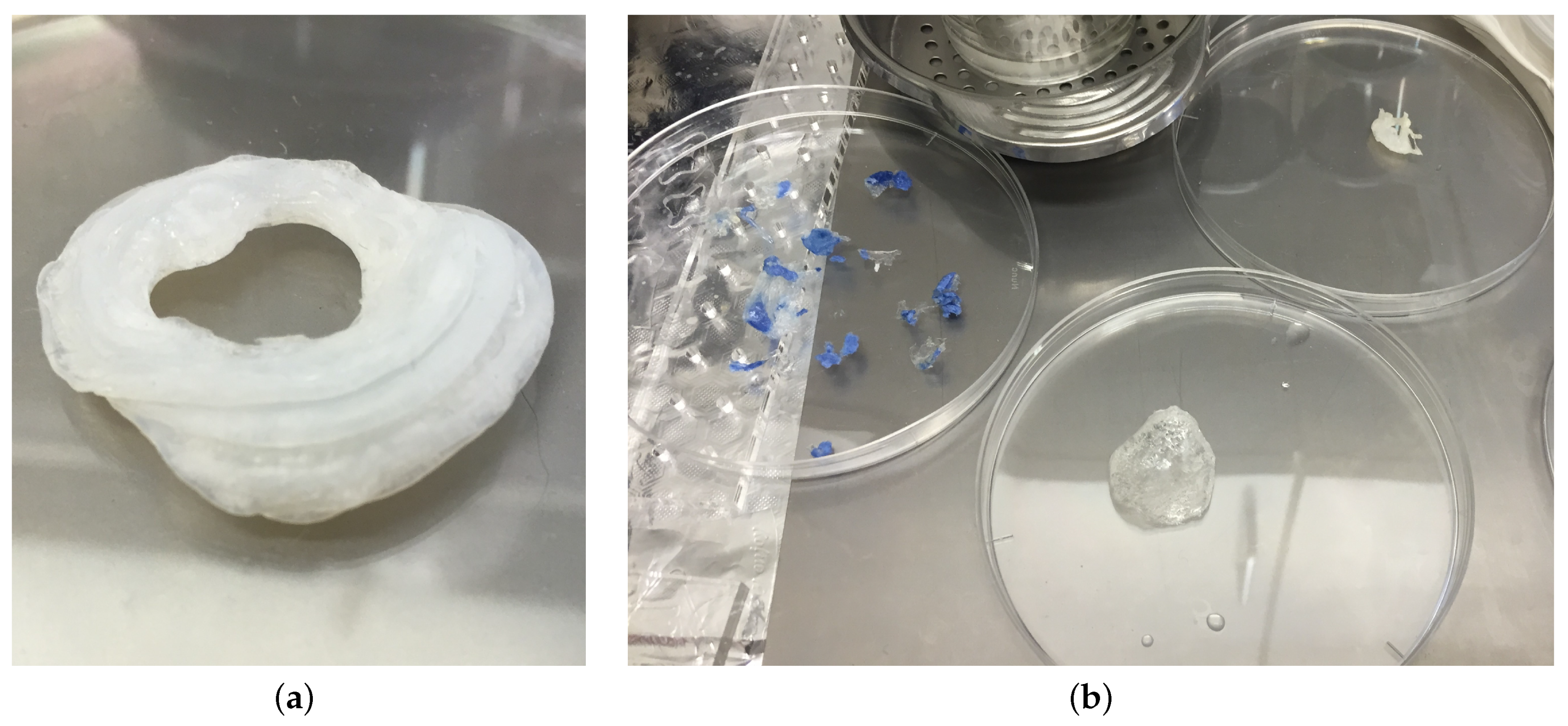 Sustainability 13 01268 g005