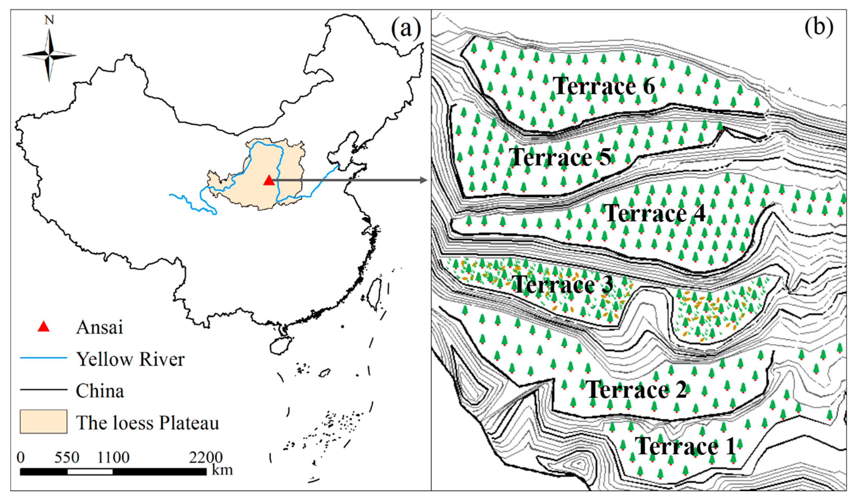 Sustainability 13 01293 g001