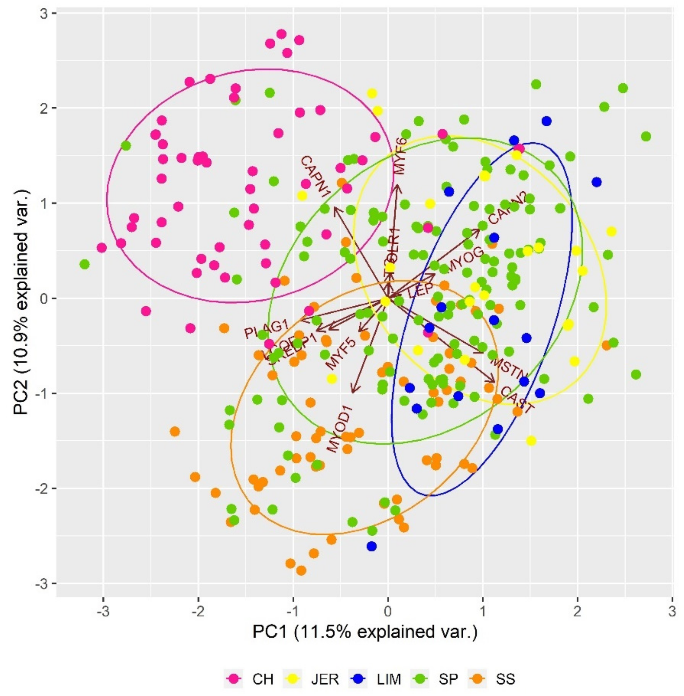 Sustainability 13 01296 g002