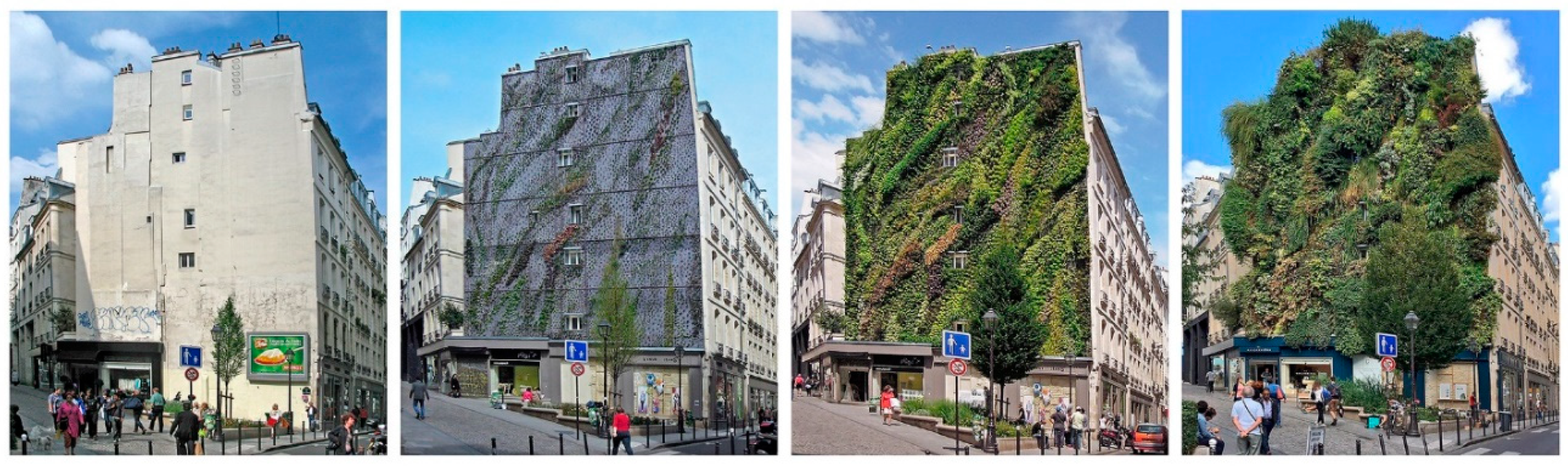 Sustainability 13 01307 g004