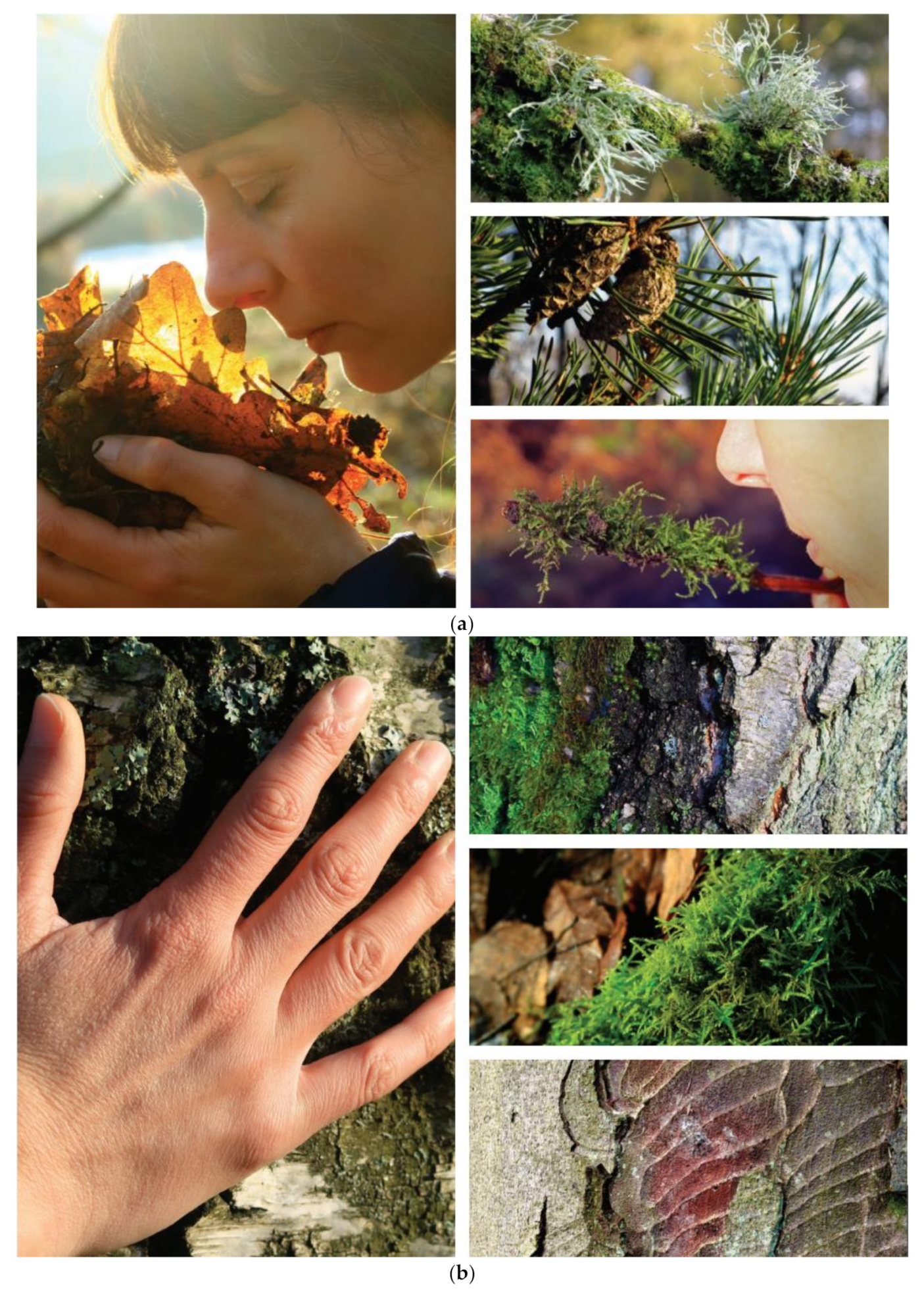 Sustainability 13 01380 g001a