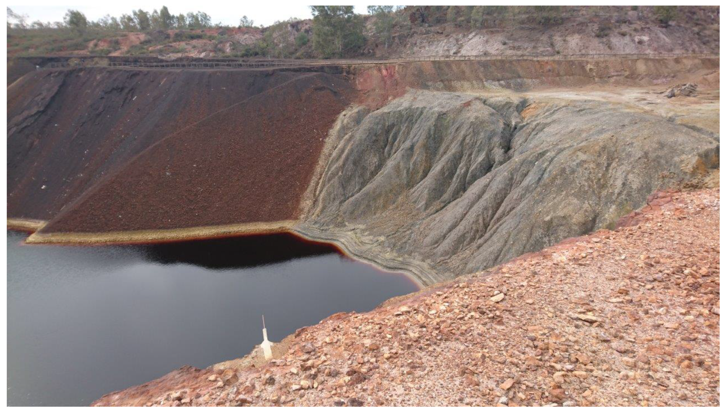 Sustainability 13 01393 g005