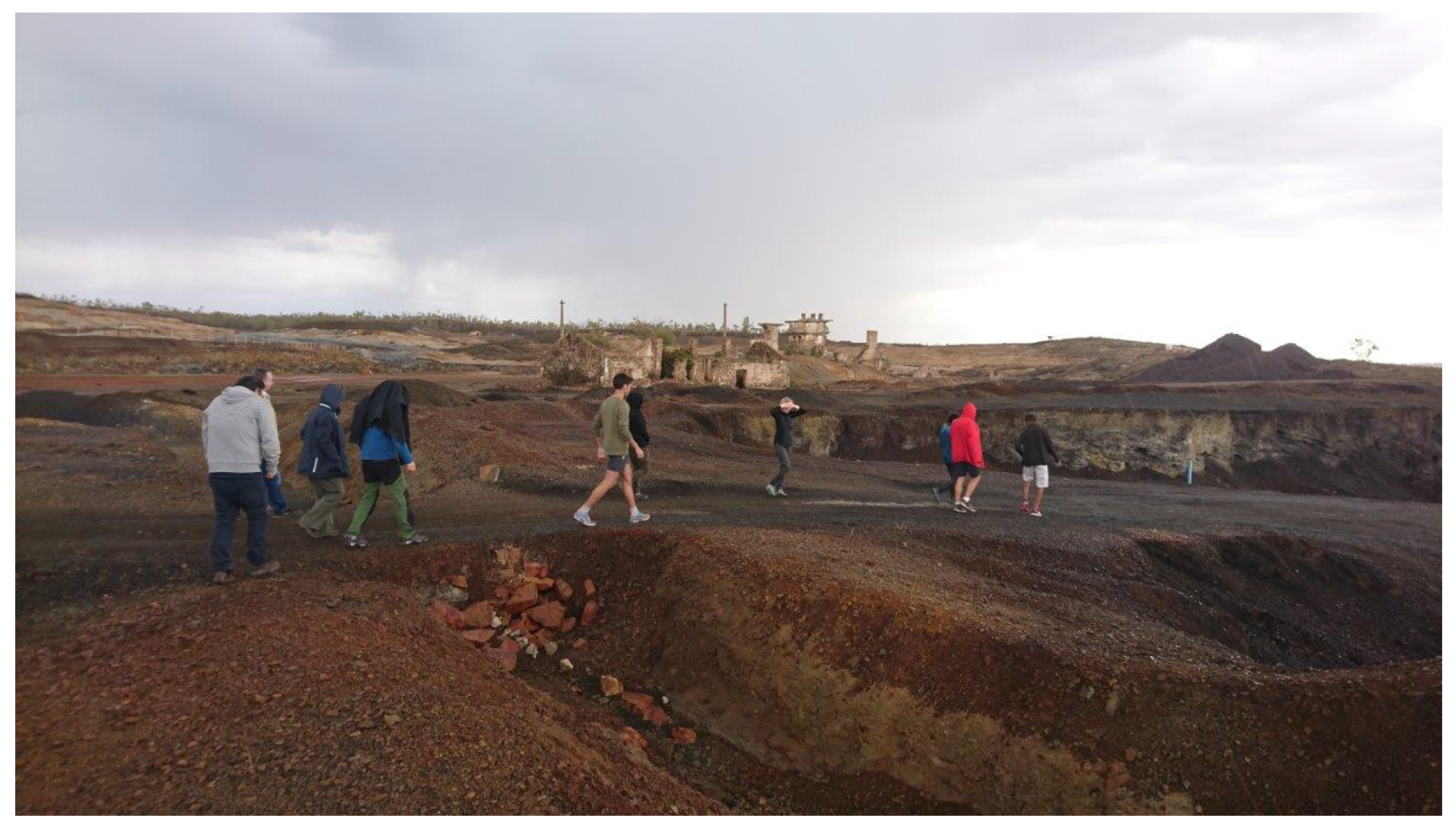 Sustainability 13 01393 g006