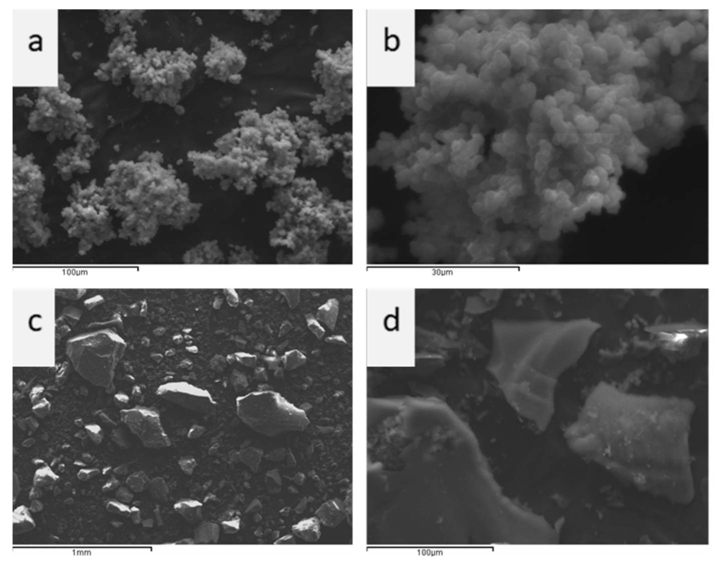 Sustainability 13 01502 g001