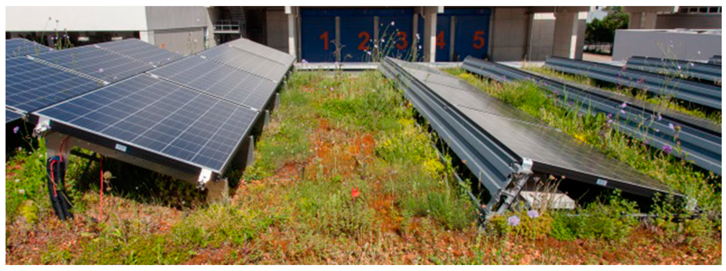 Sustainability 13 01537 g002 Sustainability 13 01537 g002
