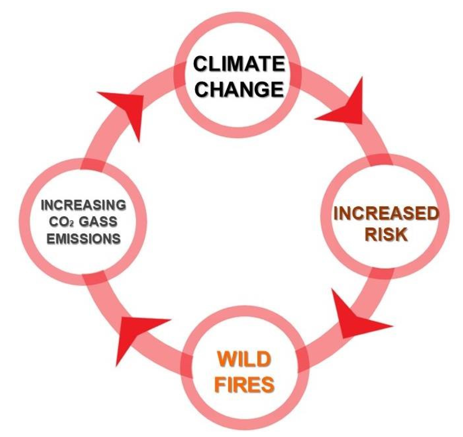 Sustainability 13 01556 g002 Sustainability 13 01556 g002