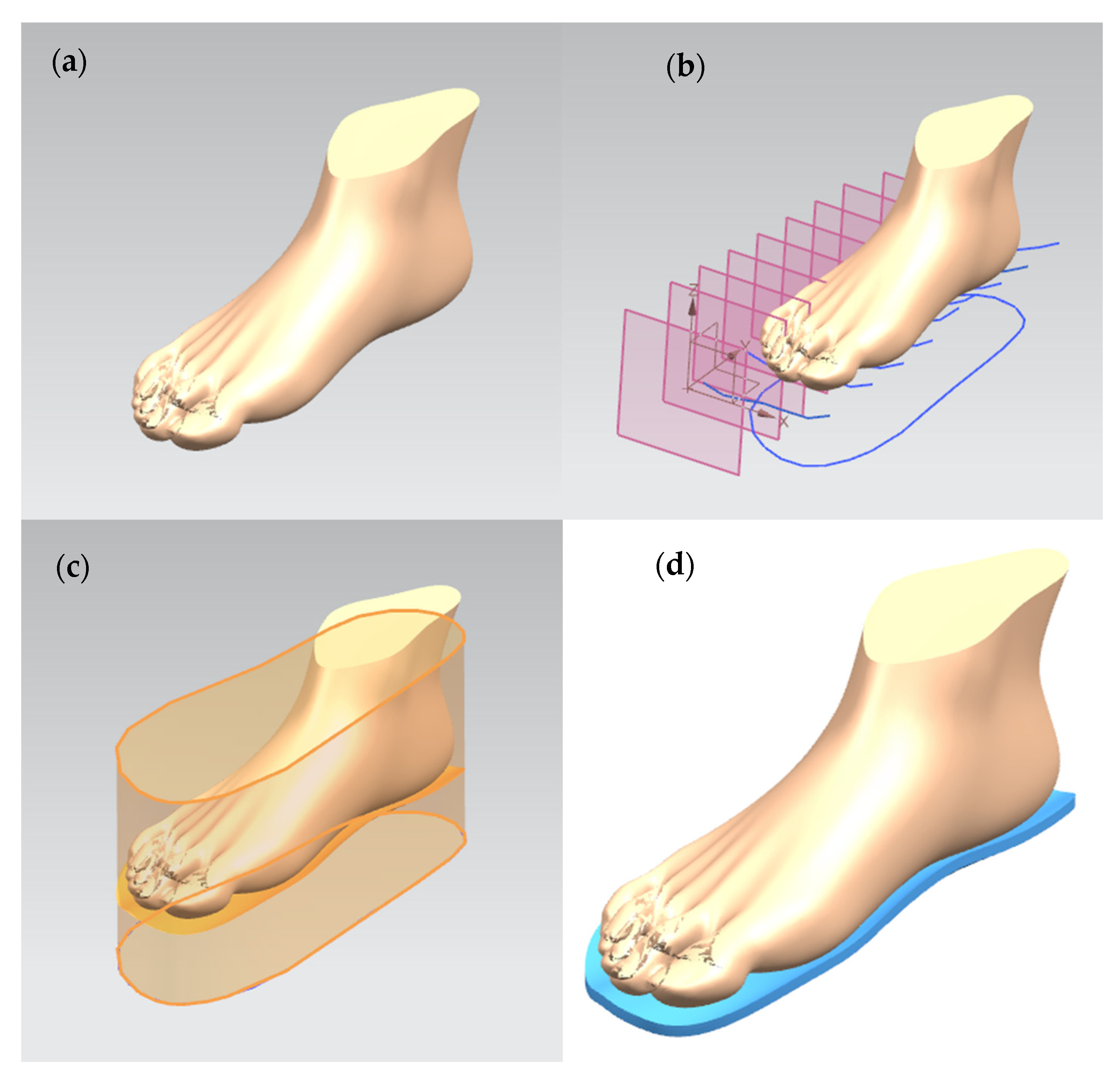 Sustainability 13 01599 g001